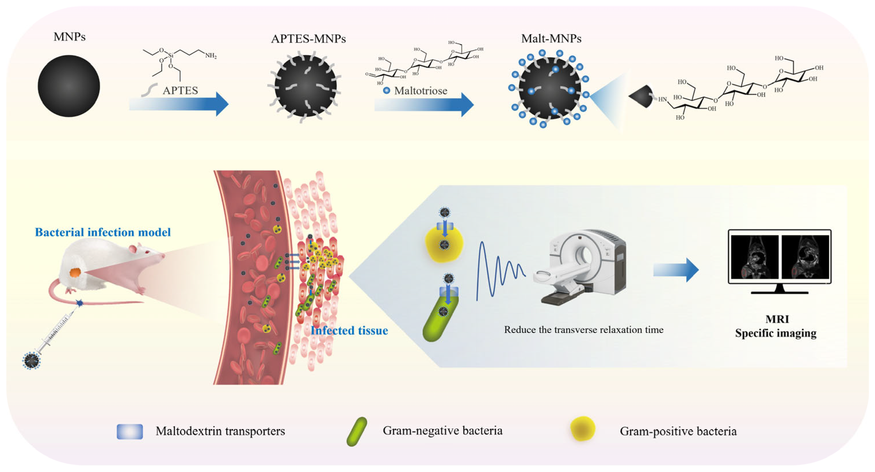 Bioengineering 12 00296 sch001