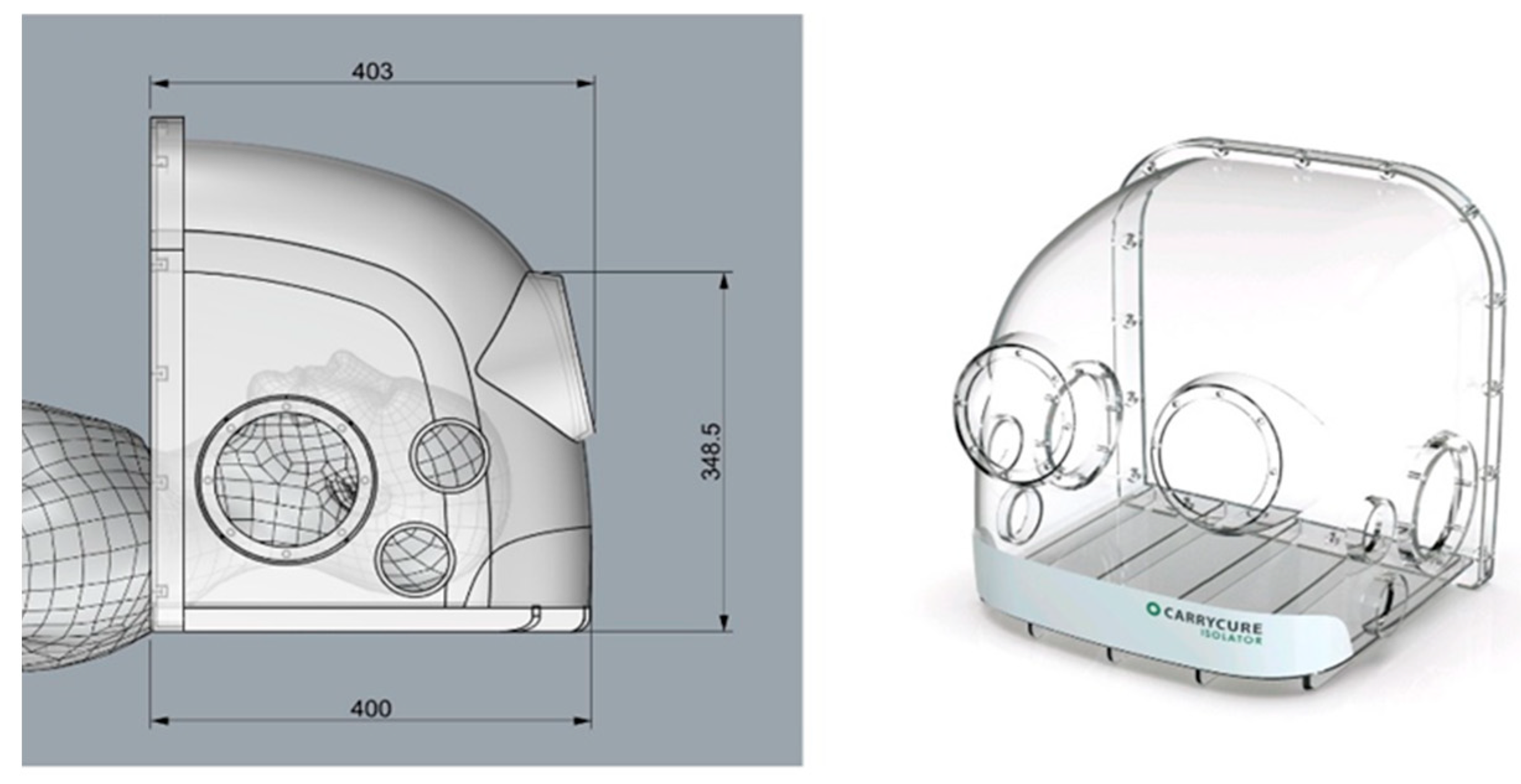 Bioengineering 12 00302 g001