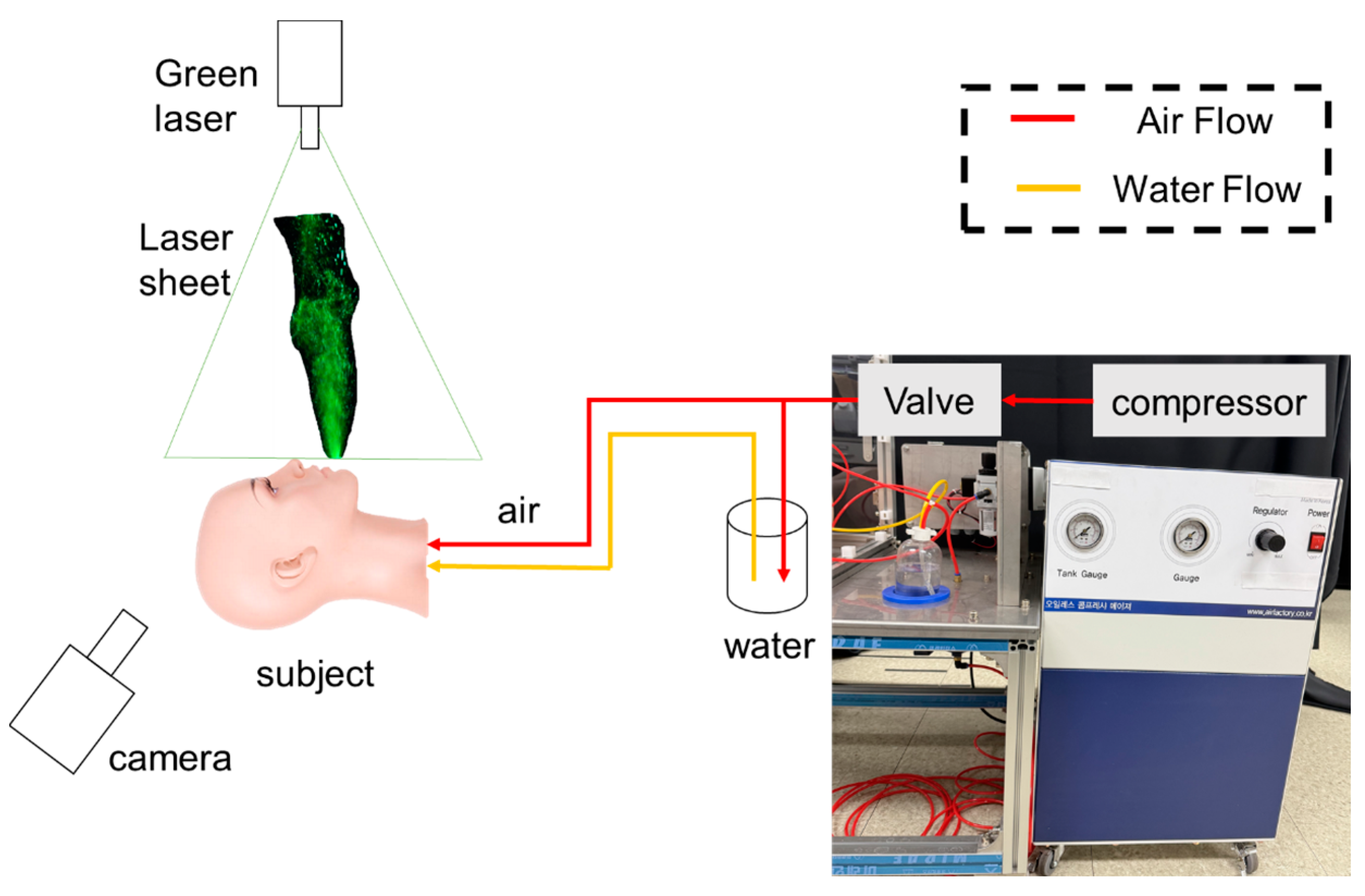 Bioengineering 12 00302 g003