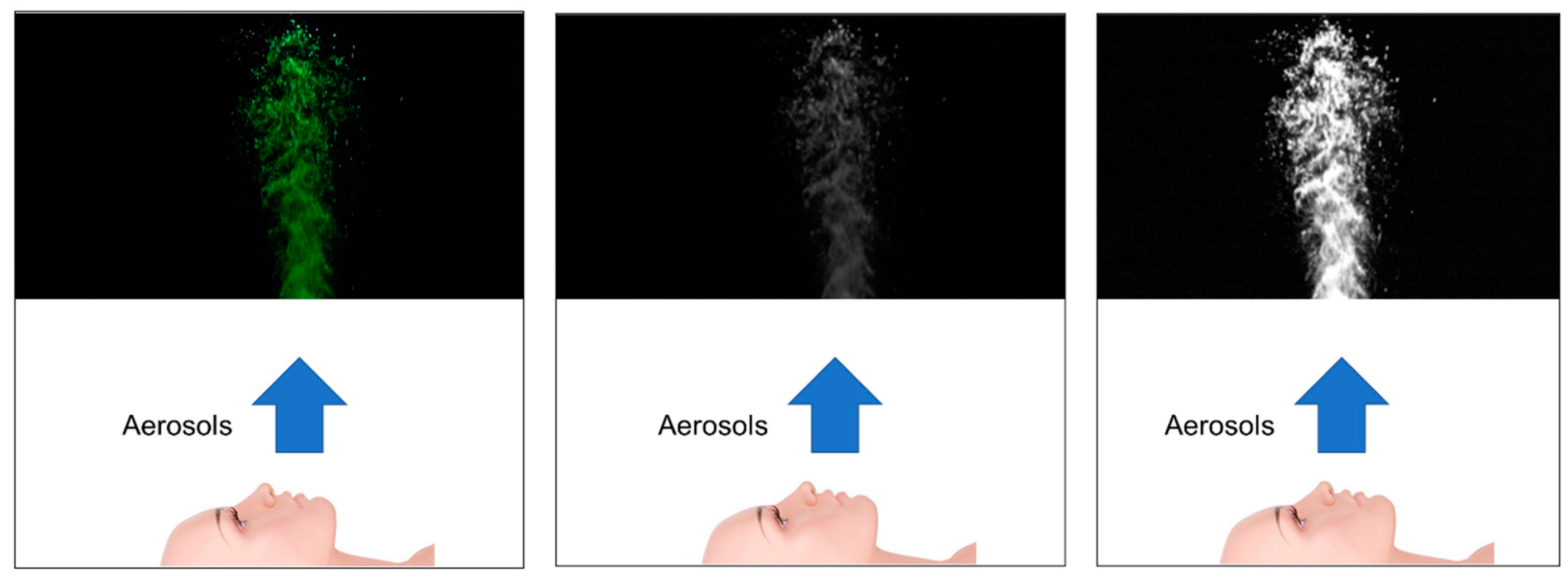Bioengineering 12 00302 g006
