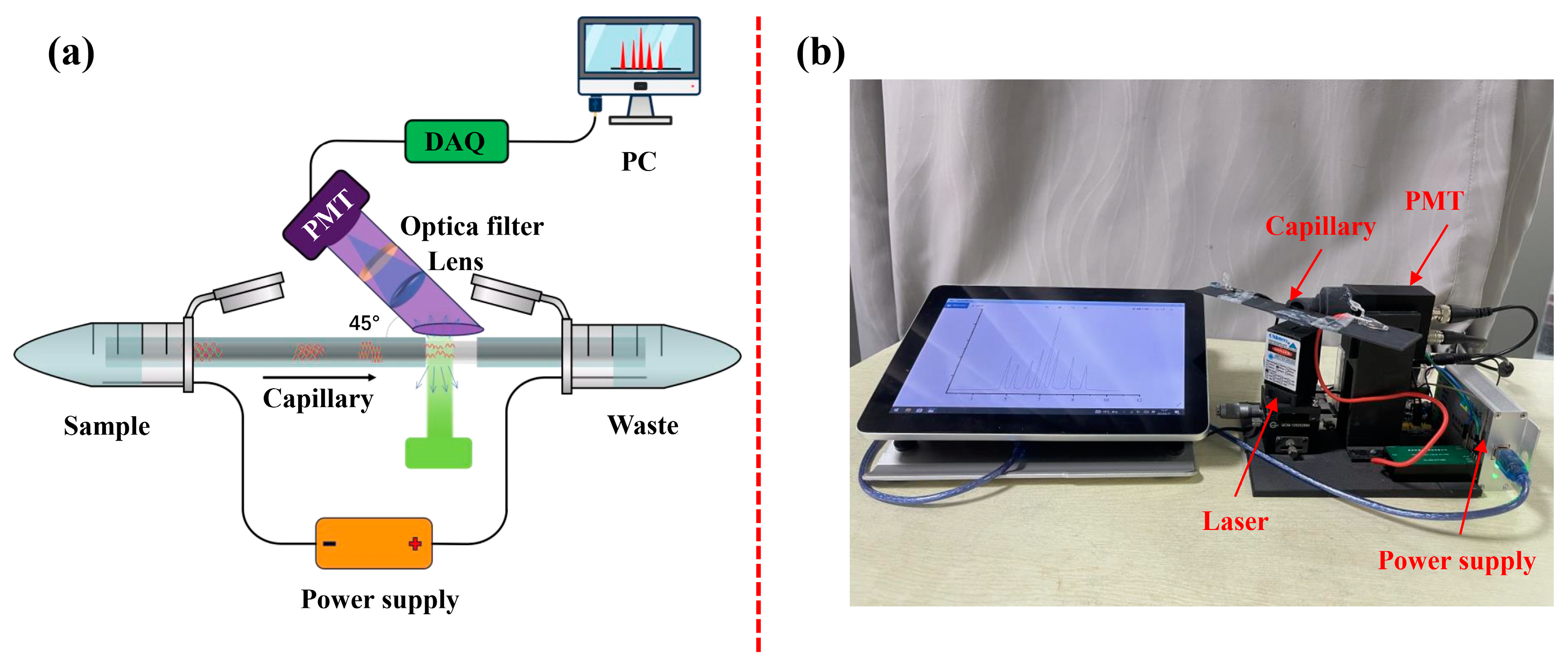 Bioengineering 12 00303 g001