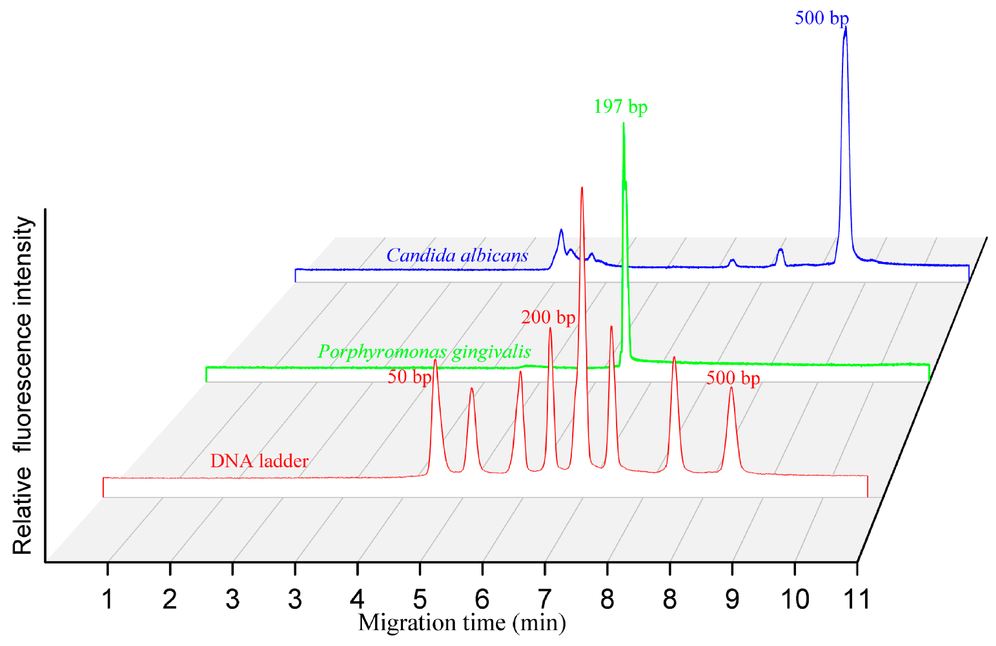 Bioengineering 12 00303 g005