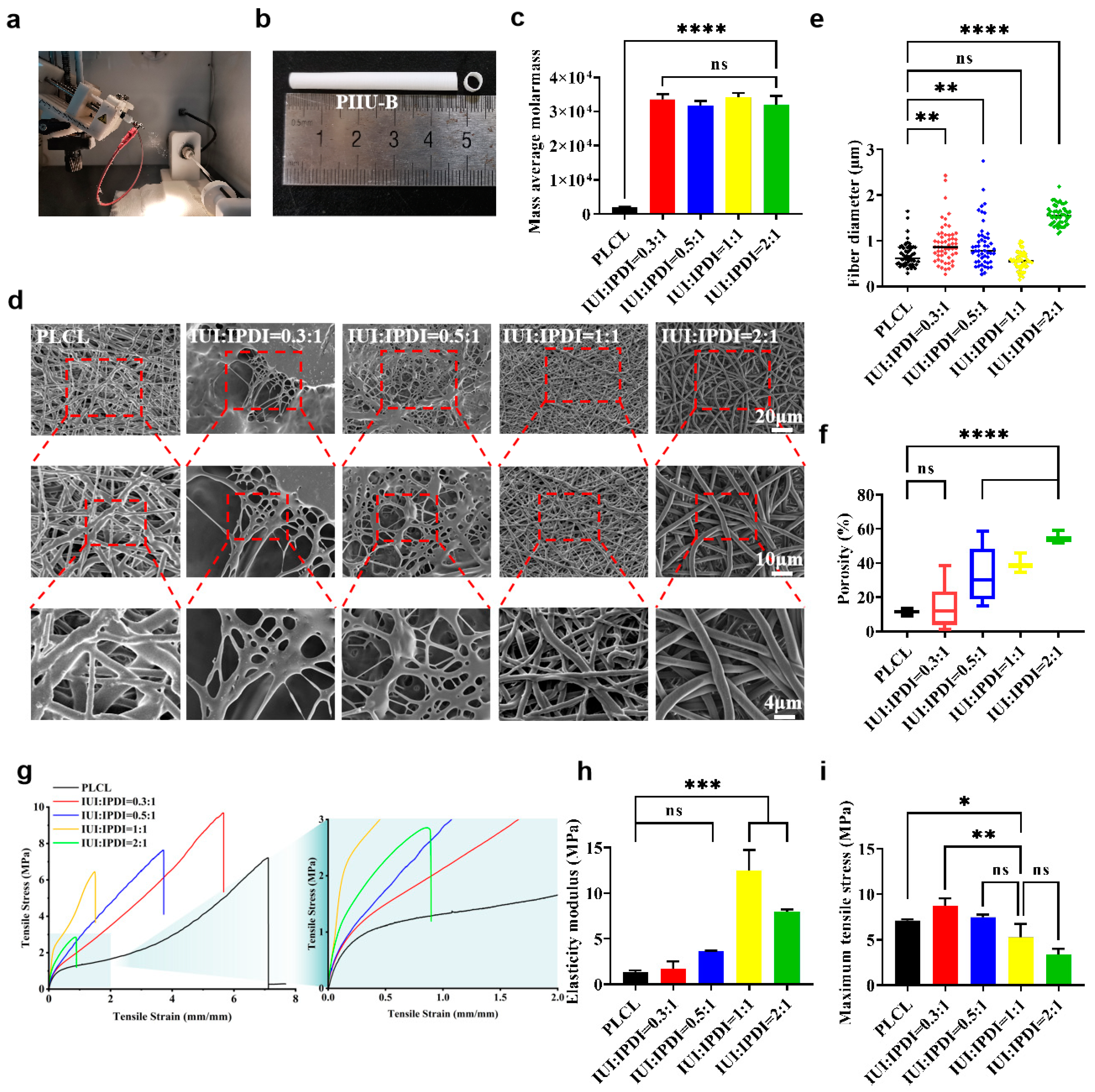 Bioengineering 12 00304 g003