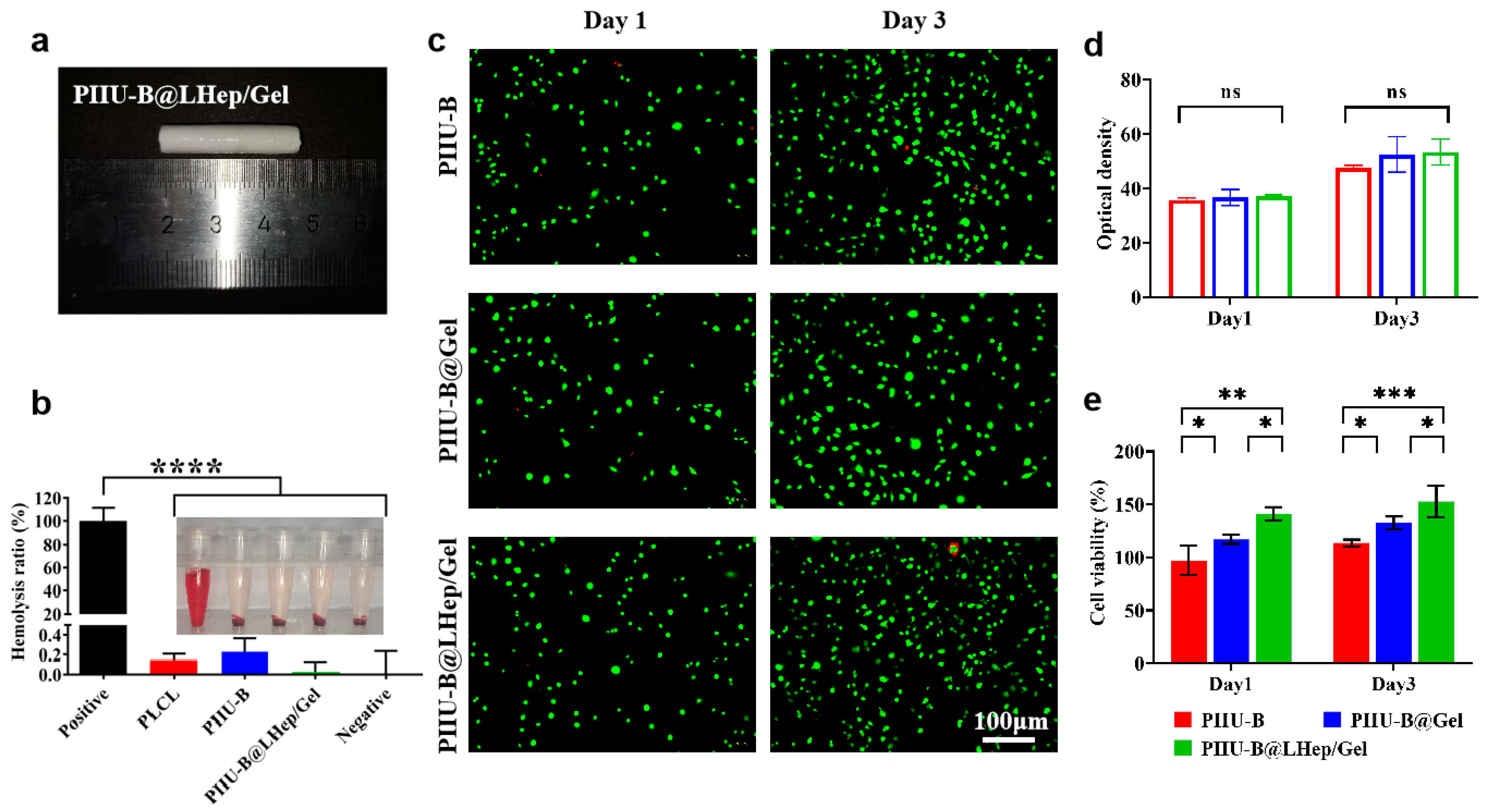 Bioengineering 12 00304 g006
