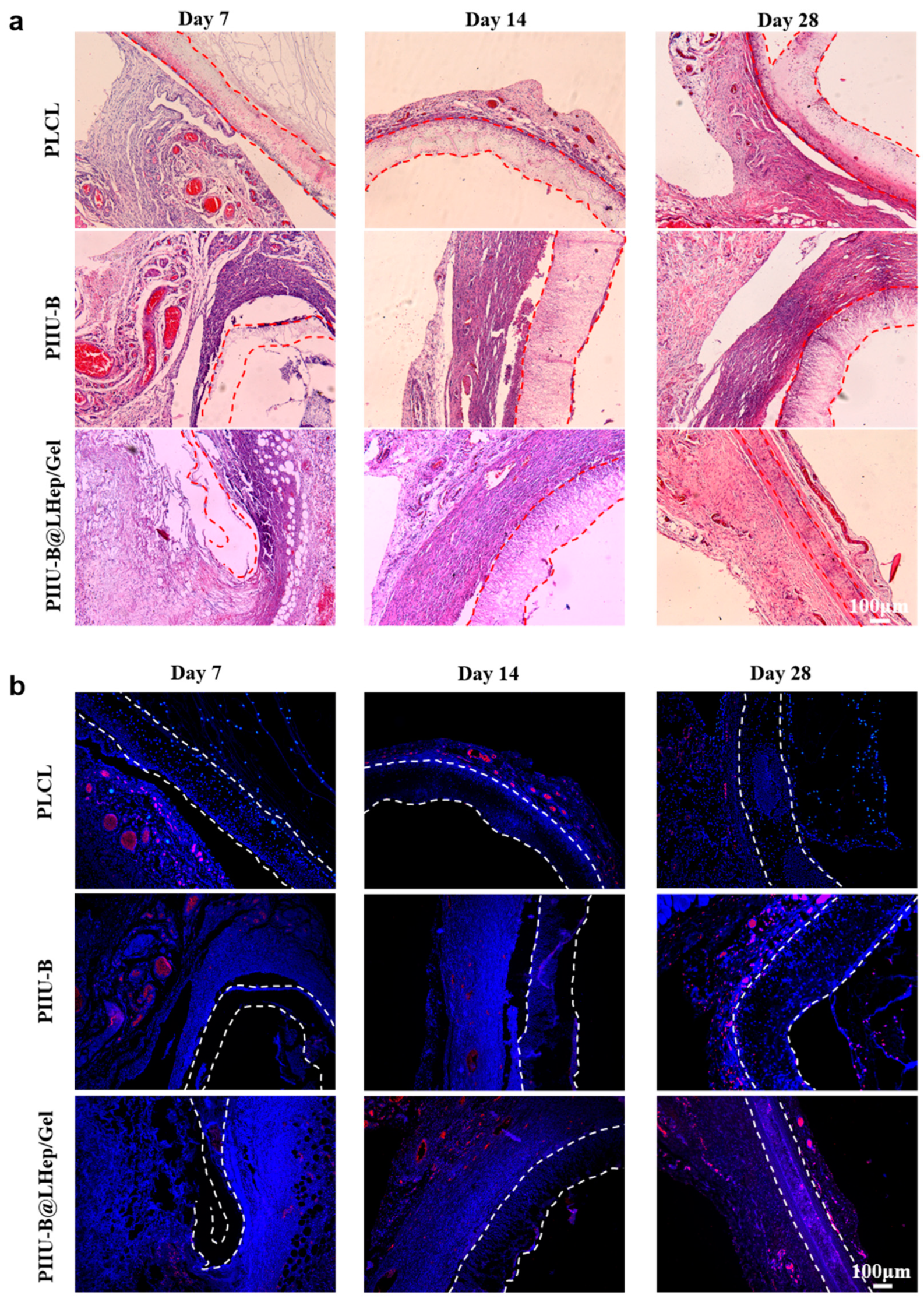 Bioengineering 12 00304 g008a