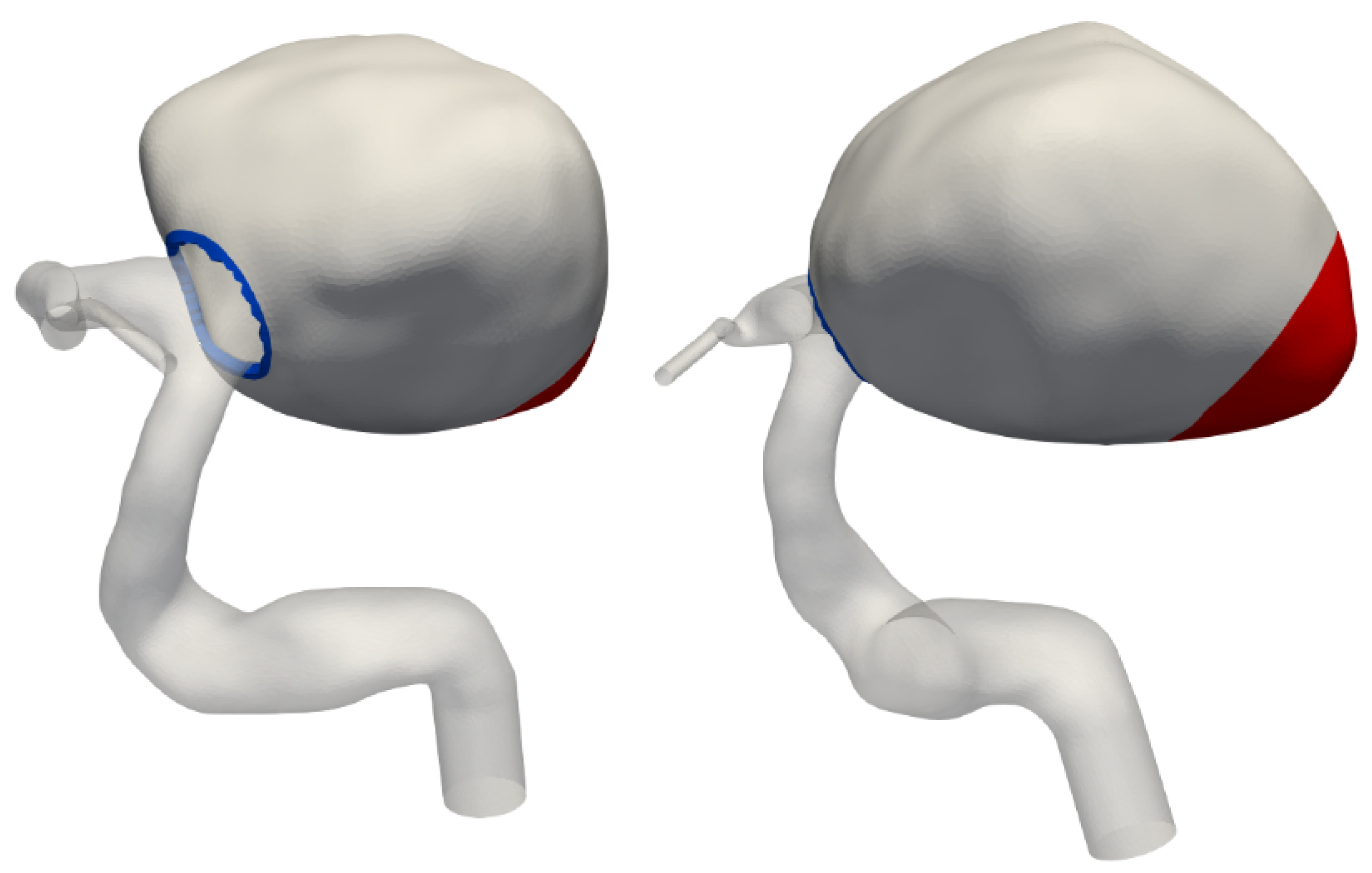 Bioengineering 12 00305 g004