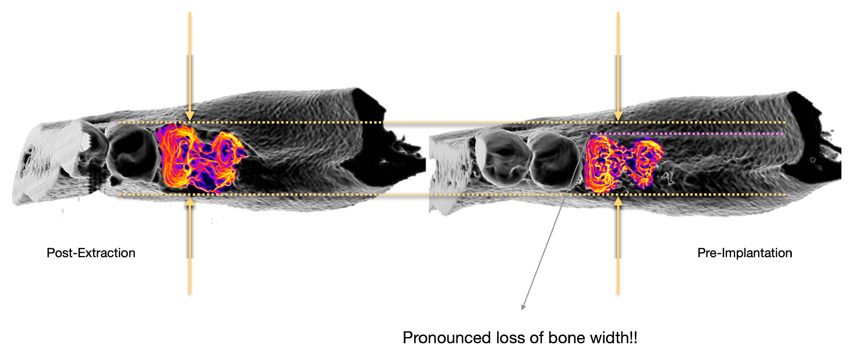Bioengineering 12 00307 g001