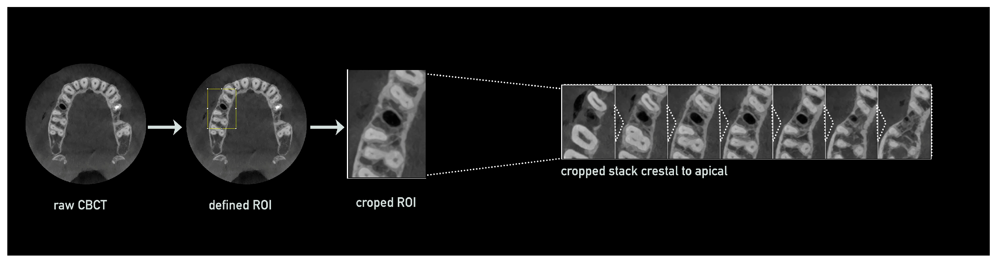 Bioengineering 12 00307 g003