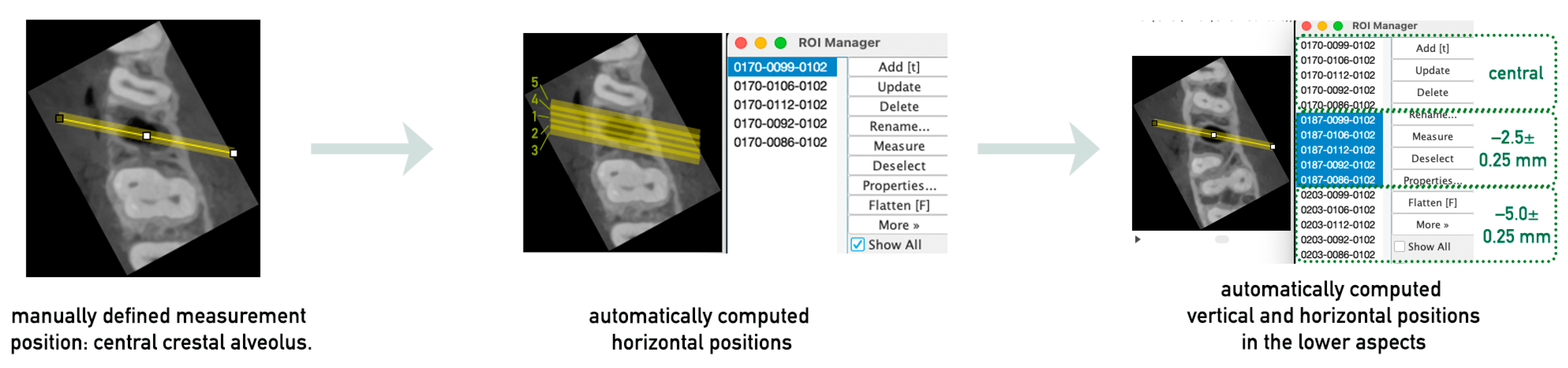 Bioengineering 12 00307 g004