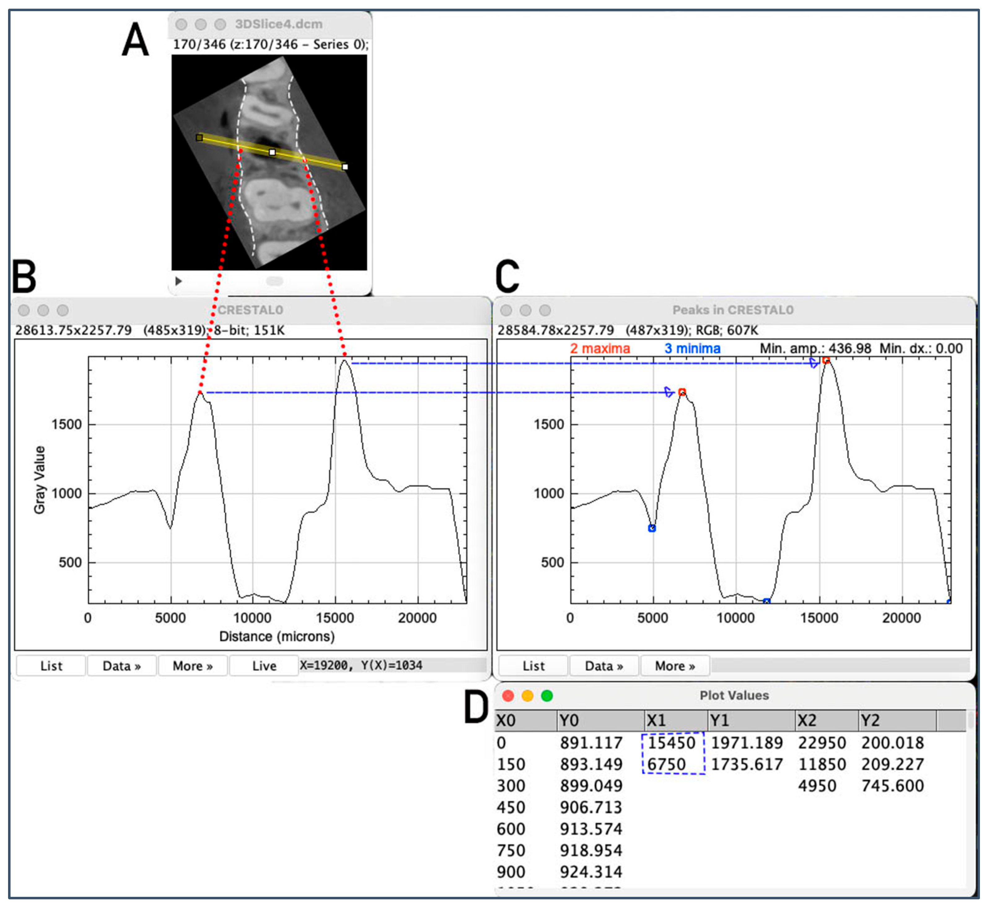 Bioengineering 12 00307 g005