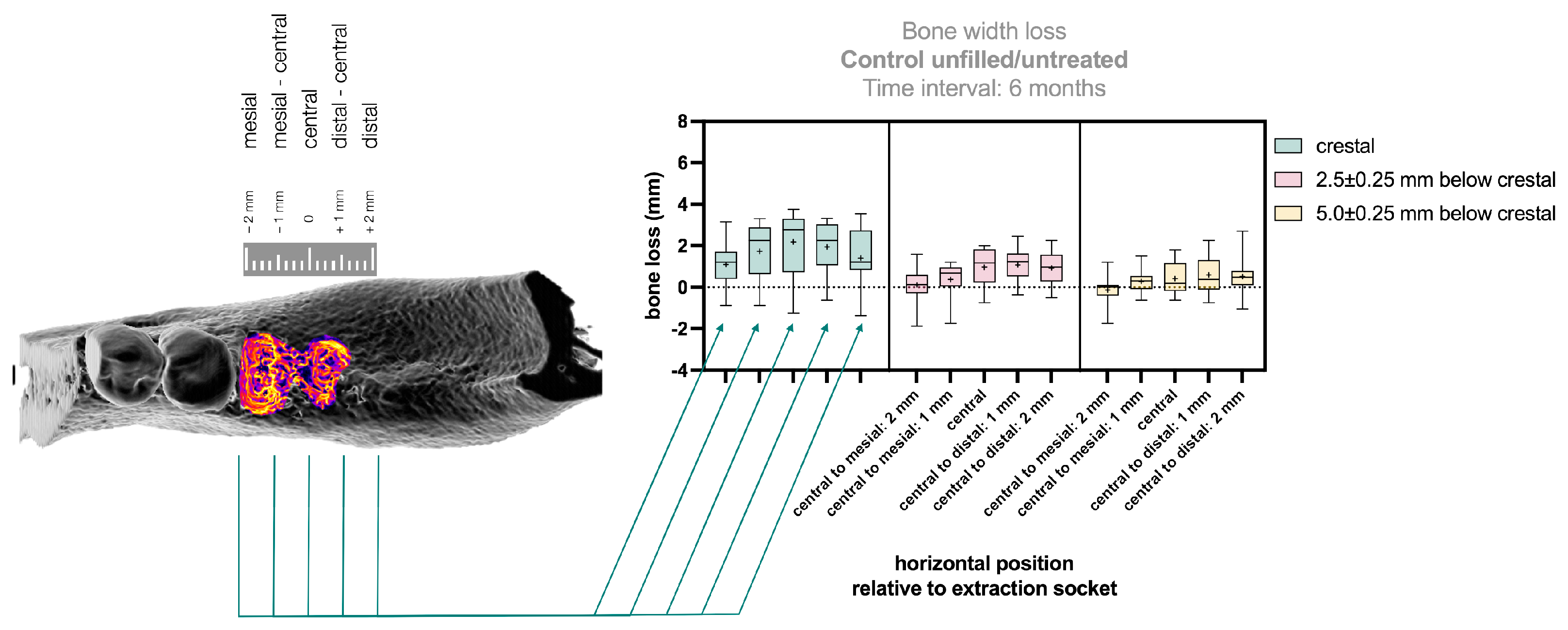 Bioengineering 12 00307 g006
