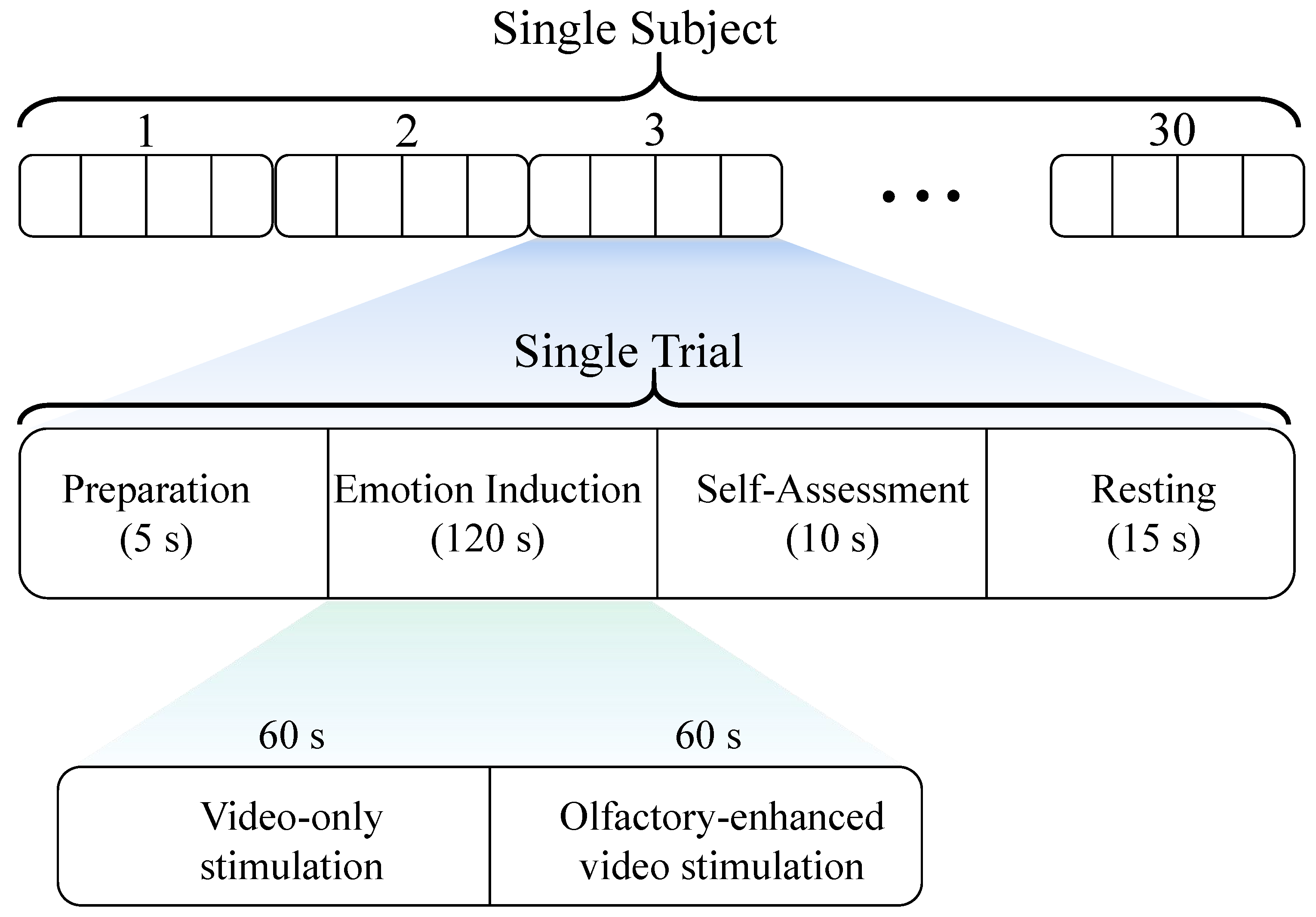 Bioengineering 12 00310 g002