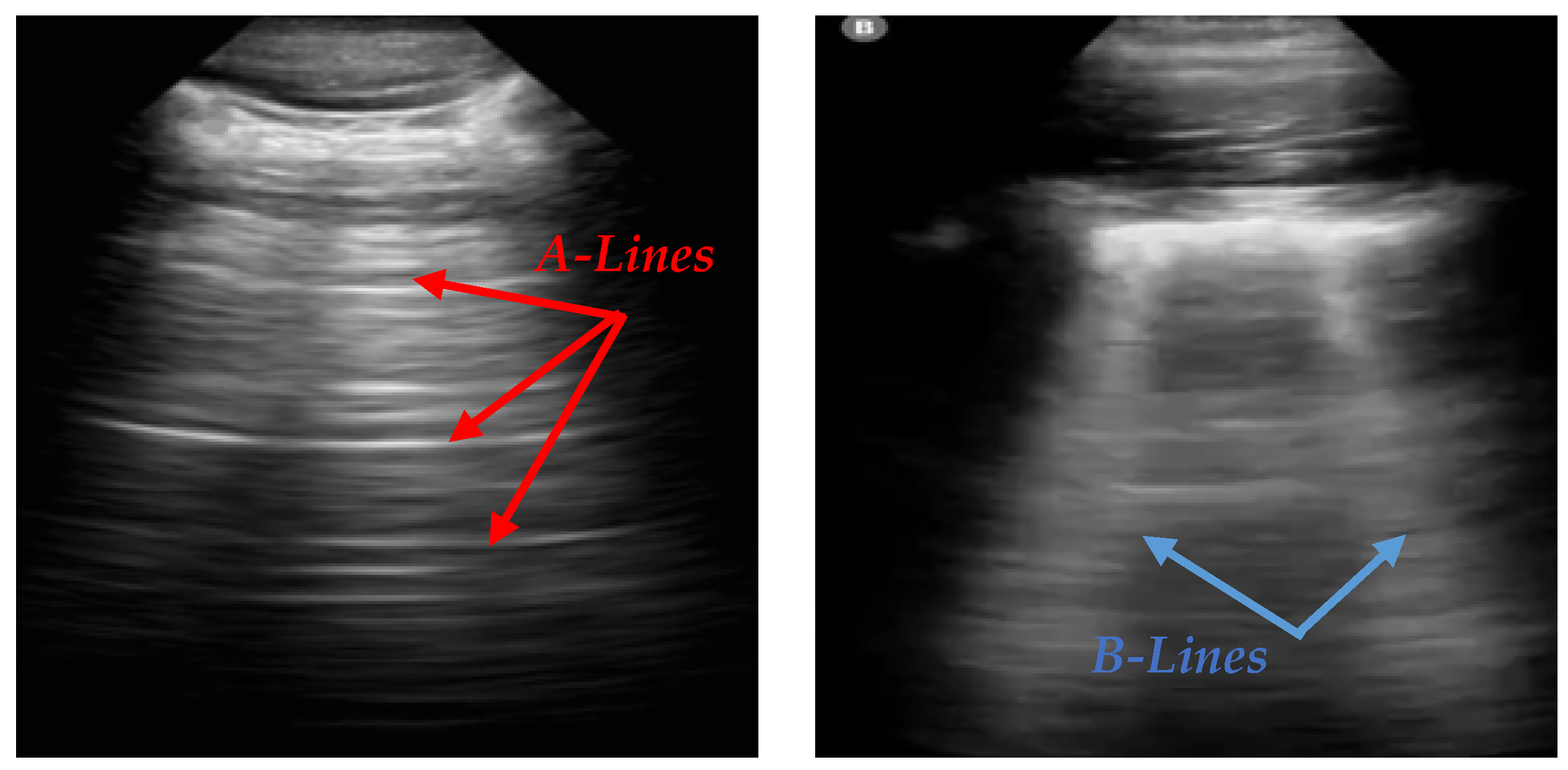 Bioengineering 12 00311 g001
