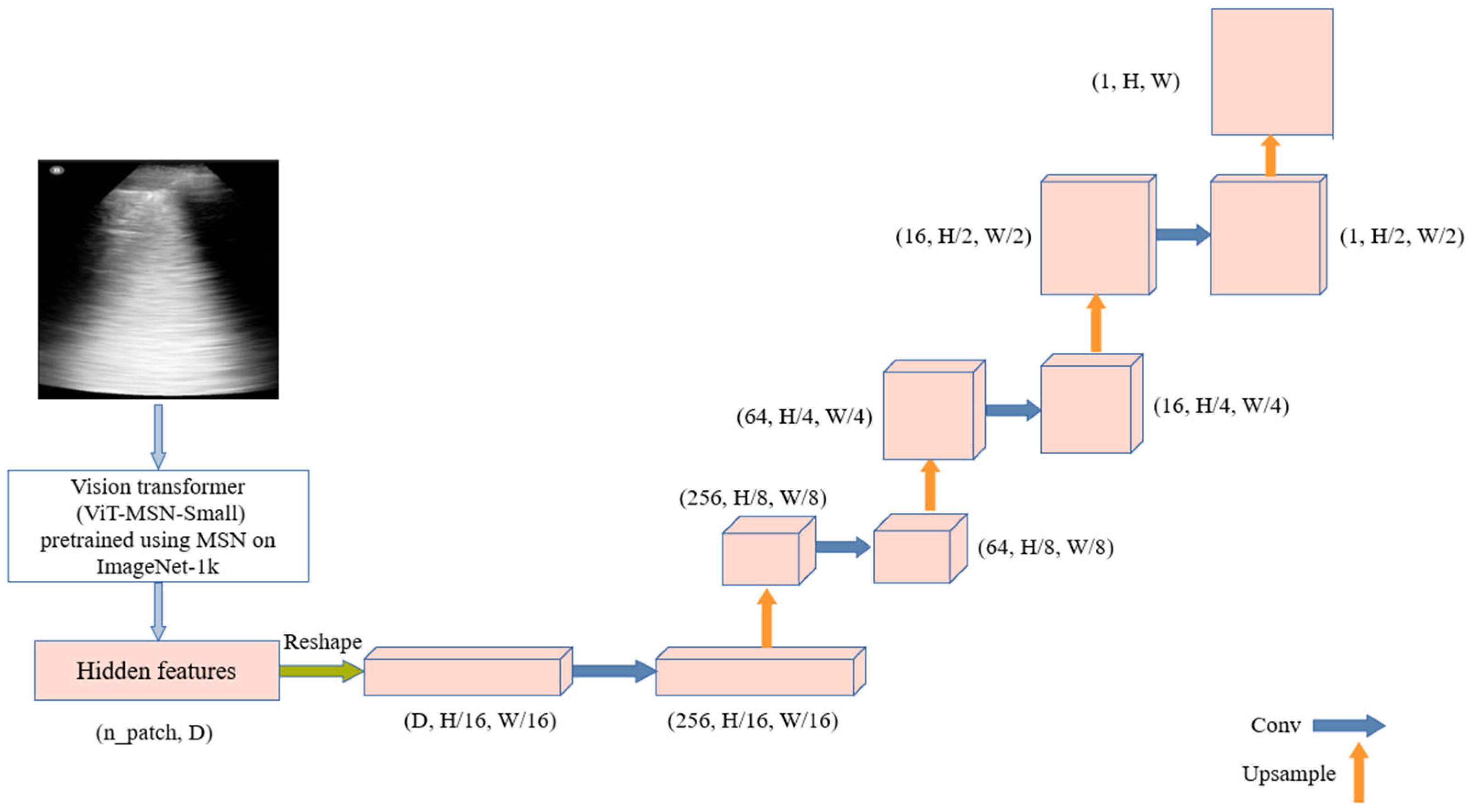 Bioengineering 12 00311 g003