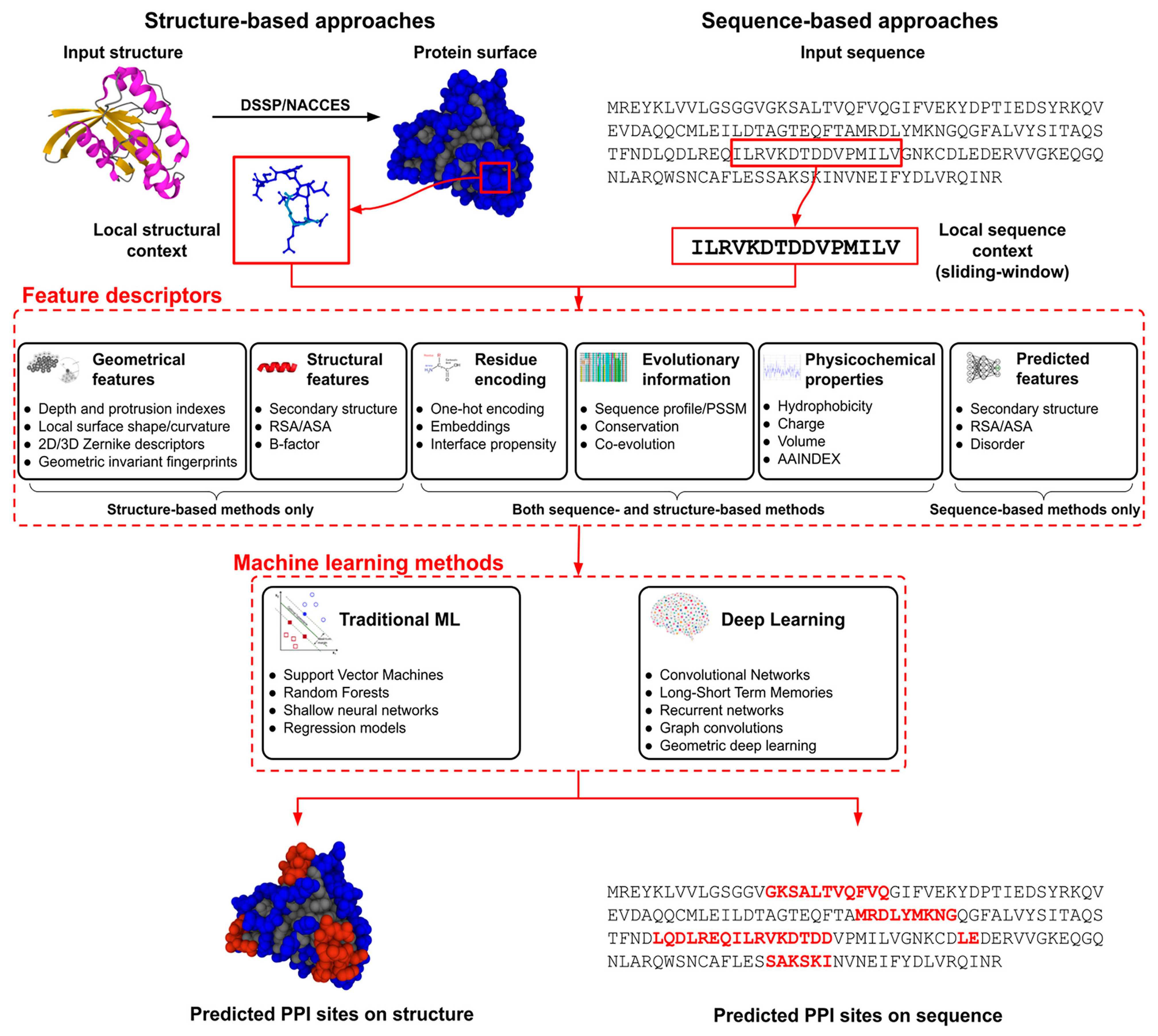 Bioengineering 12 00312 g005