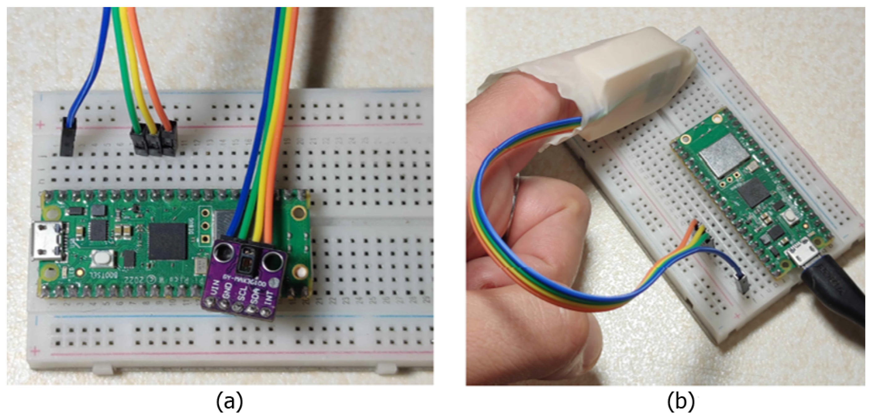 Bioengineering 12 00314 g002