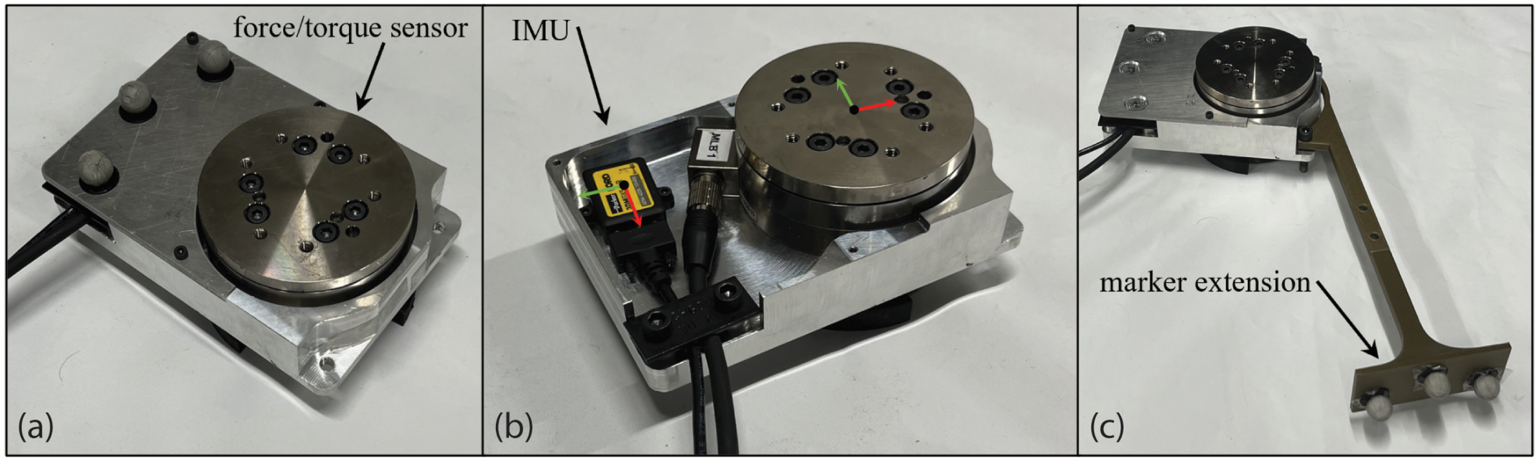 Bioengineering 12 00317 g003