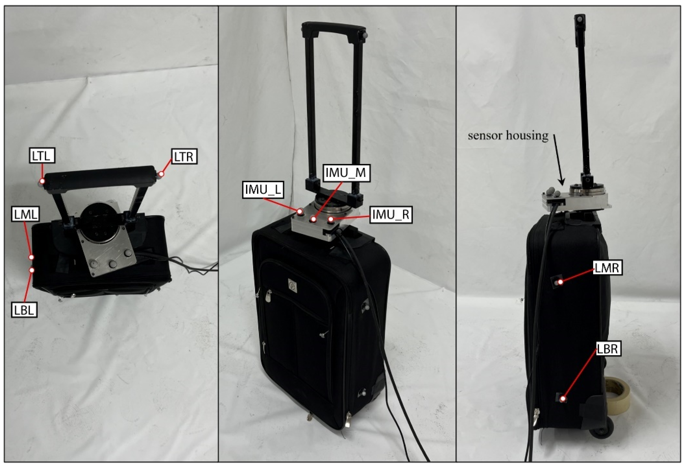 Bioengineering 12 00317 g005