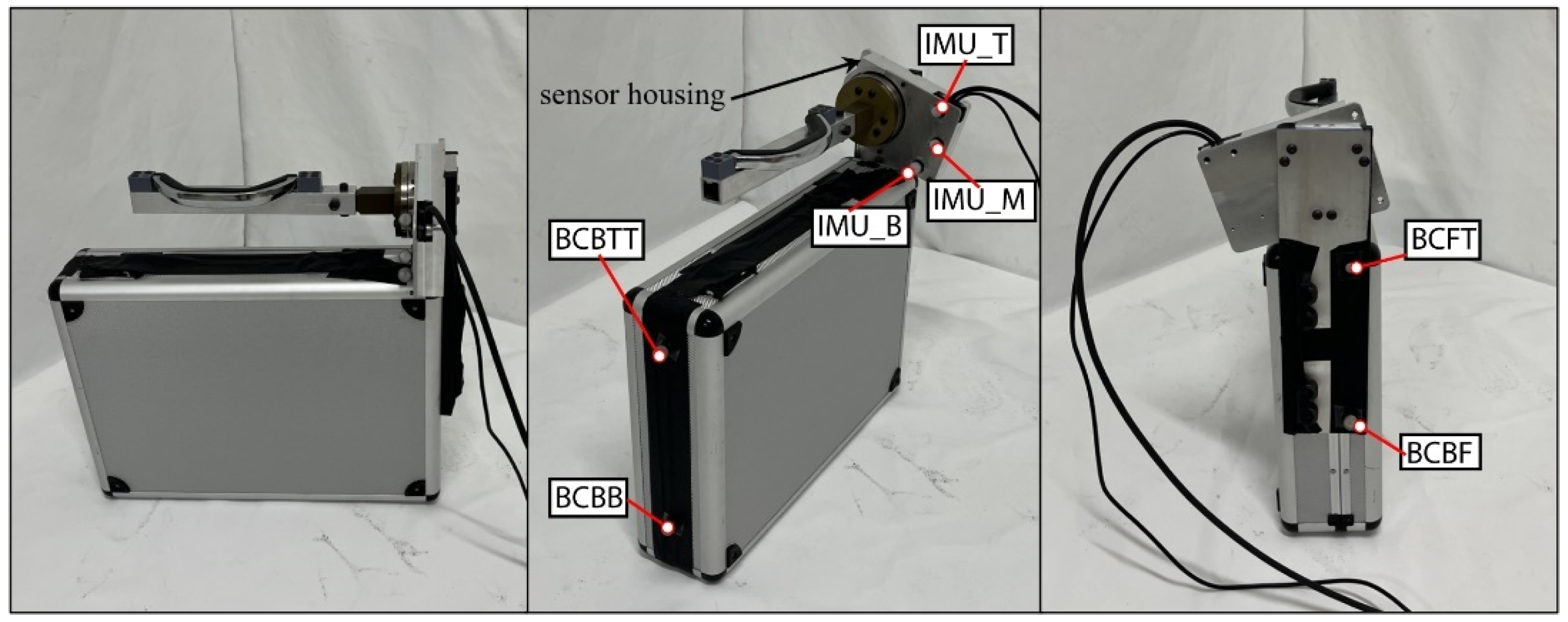 Bioengineering 12 00317 g006