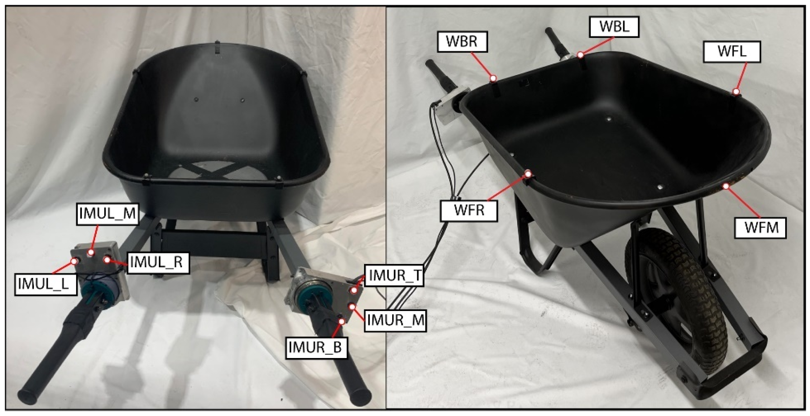 Bioengineering 12 00317 g009
