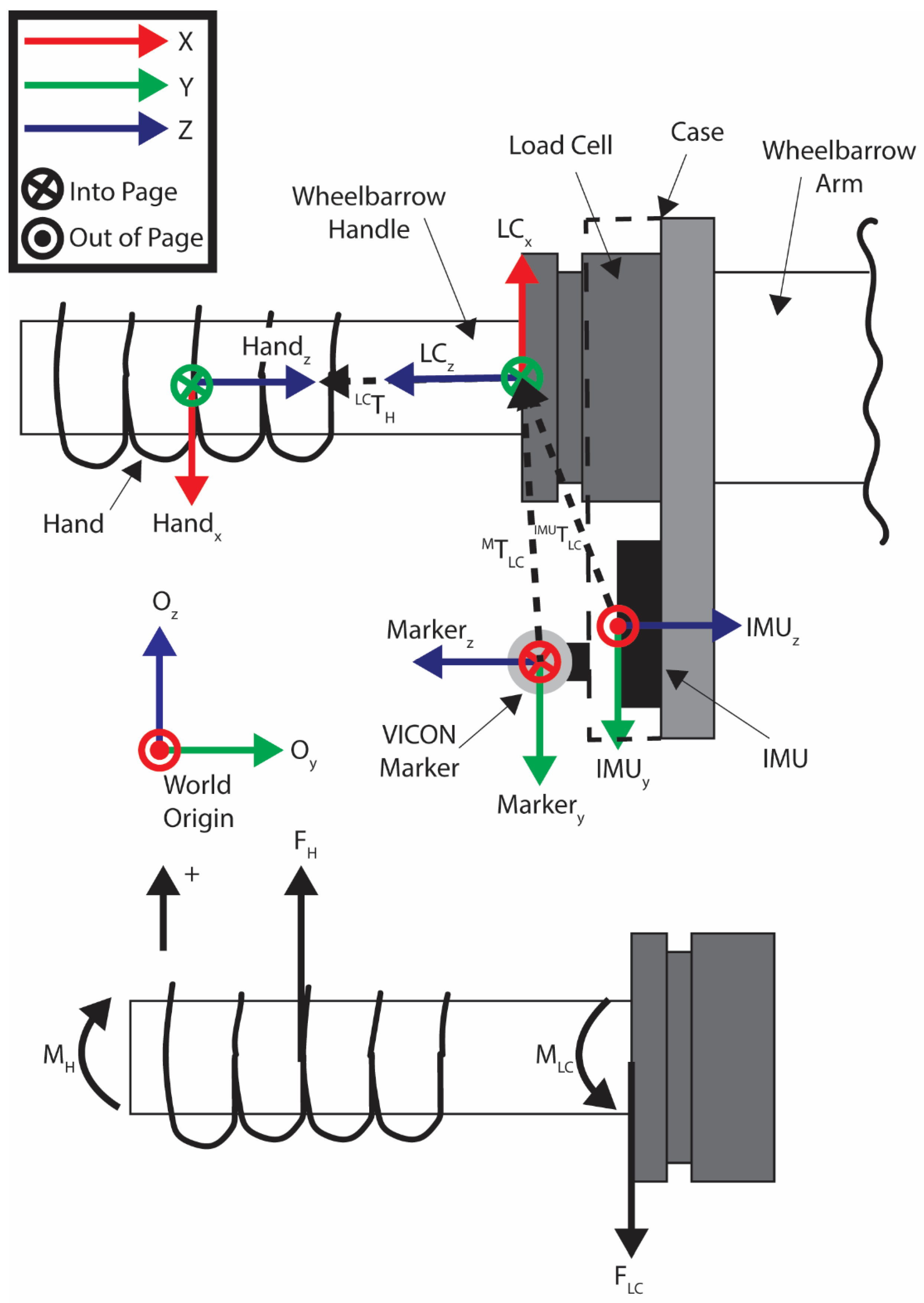 Bioengineering 12 00317 g011