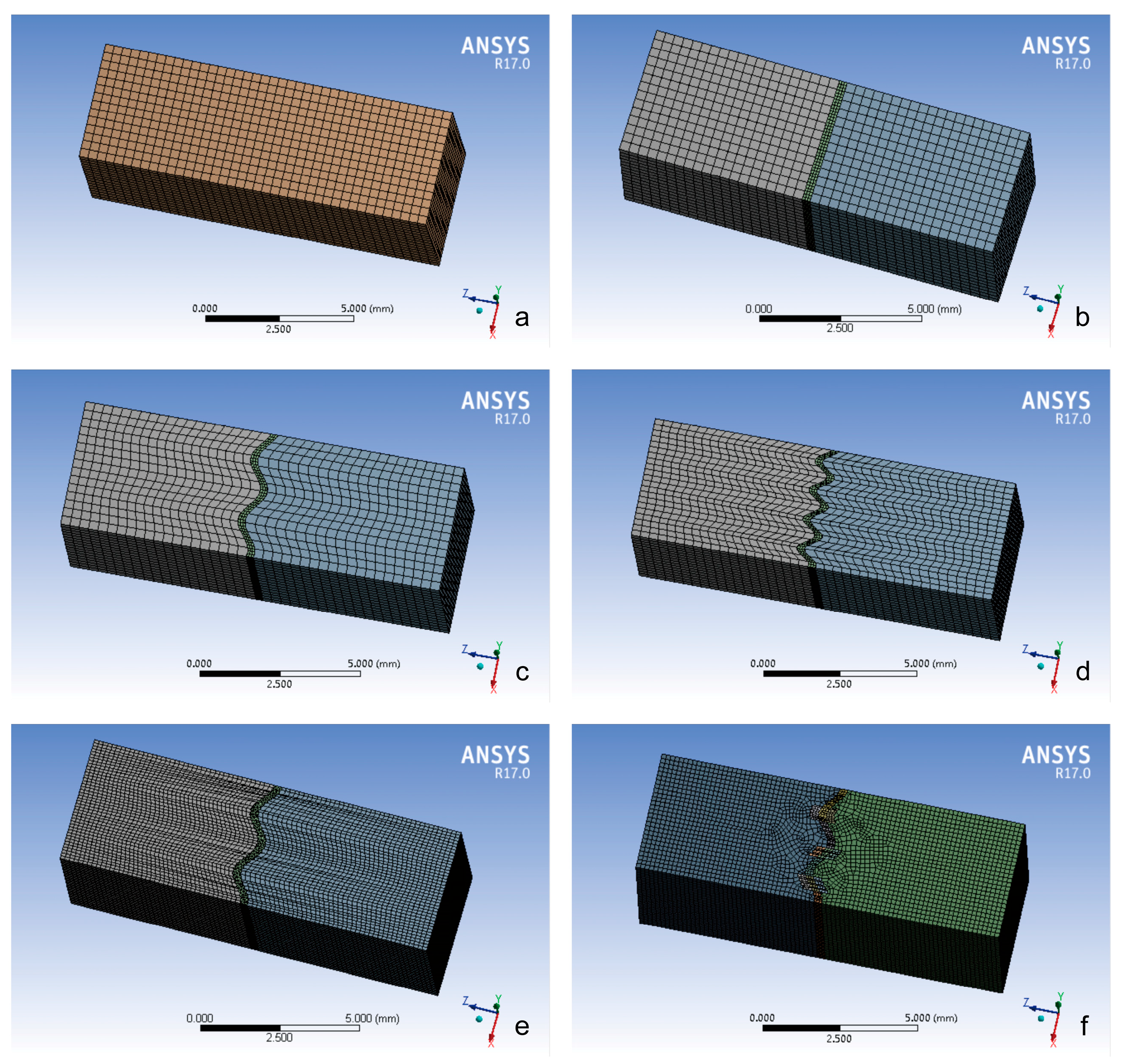 Bioengineering 12 00318 g002