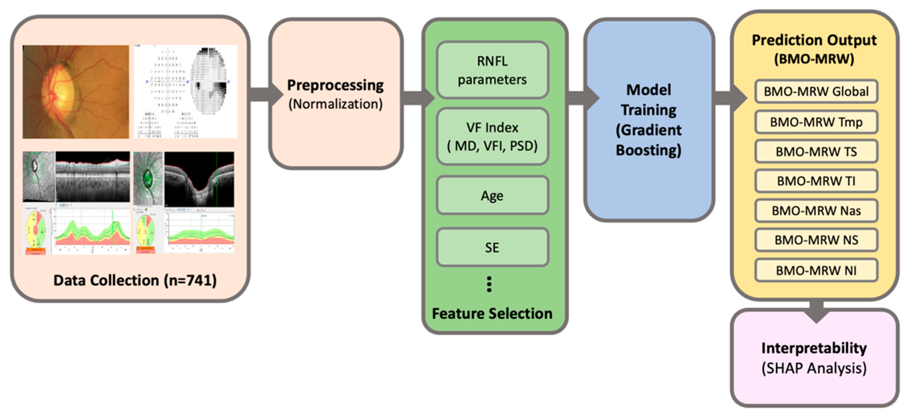 Bioengineering 12 00321 g001