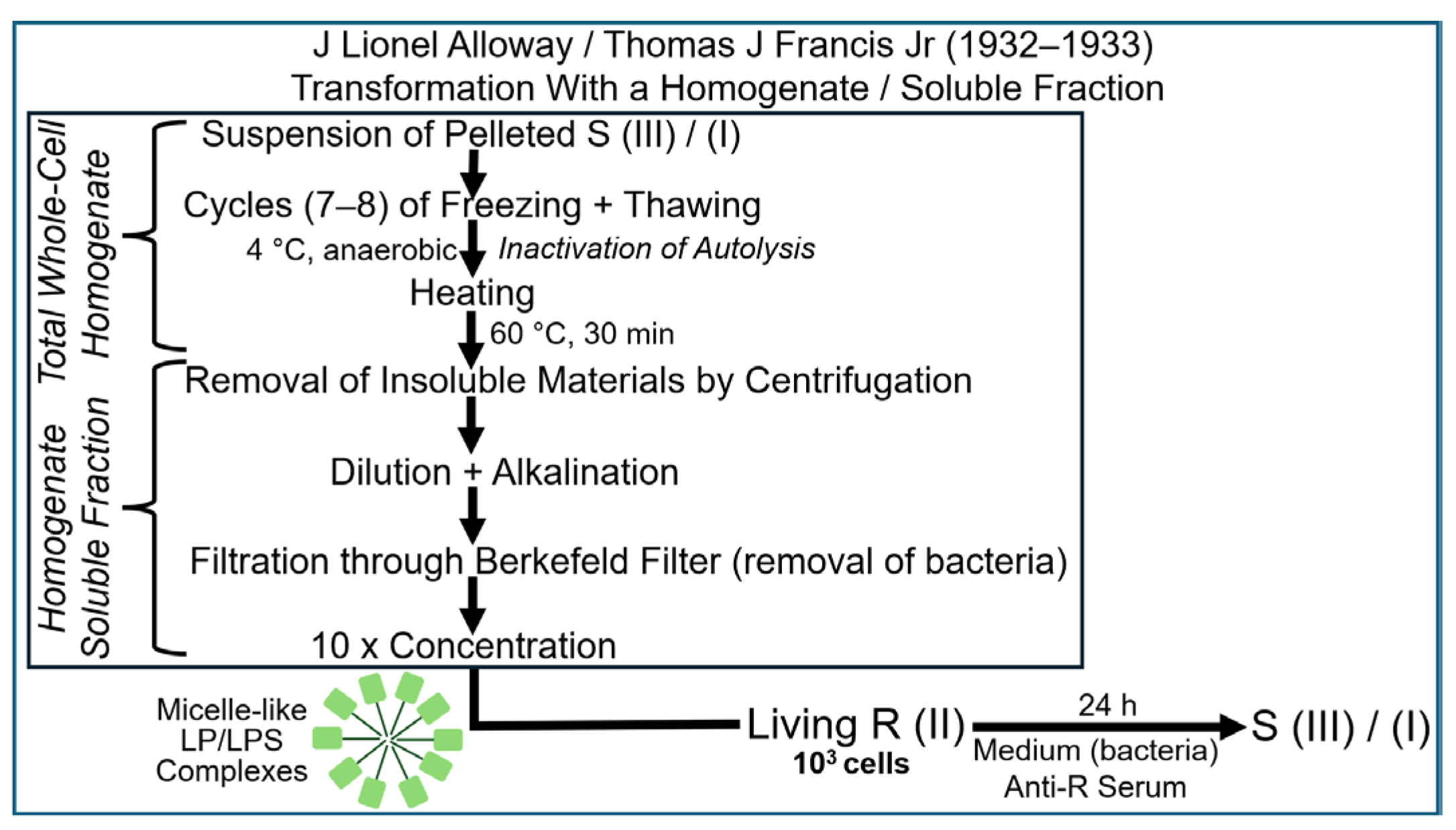 Bioengineering 12 00324 g006