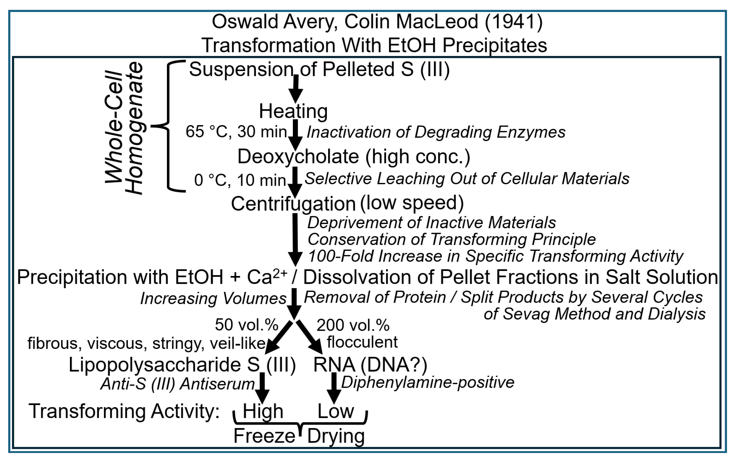Bioengineering 12 00324 g008