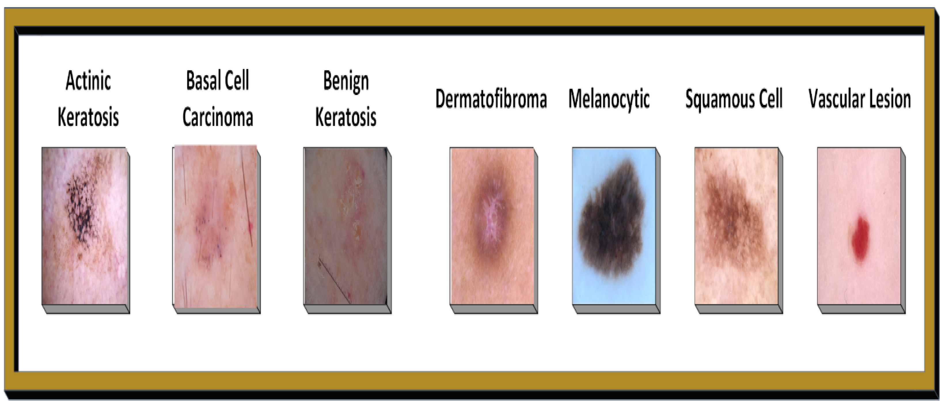 Bioengineering 12 00326 g001