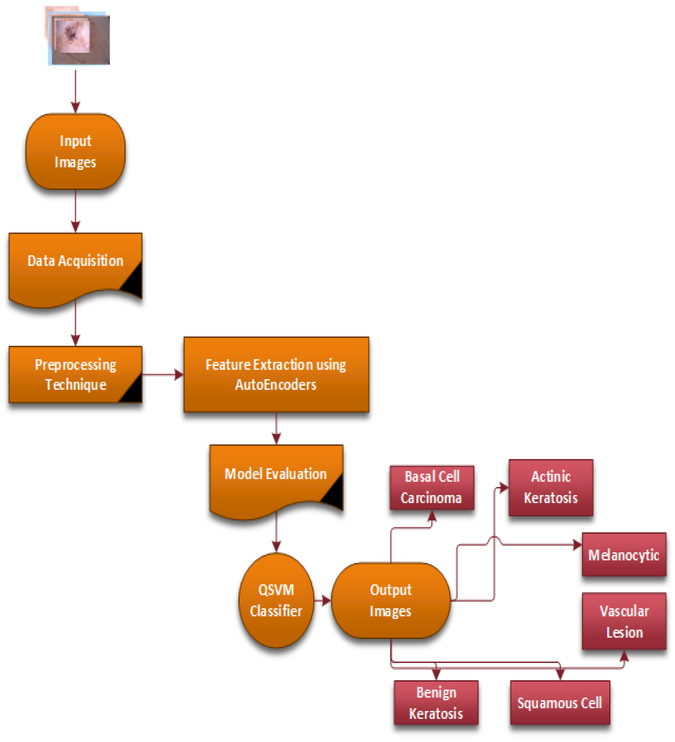 Bioengineering 12 00326 g003