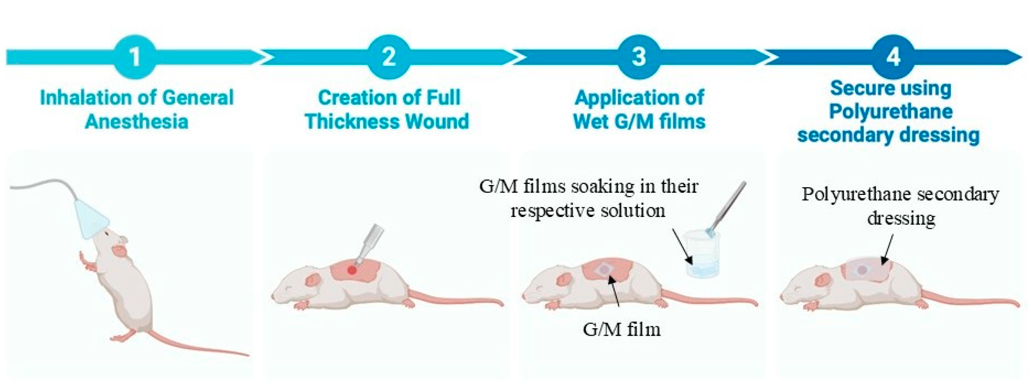 Bioengineering 12 00327 g001