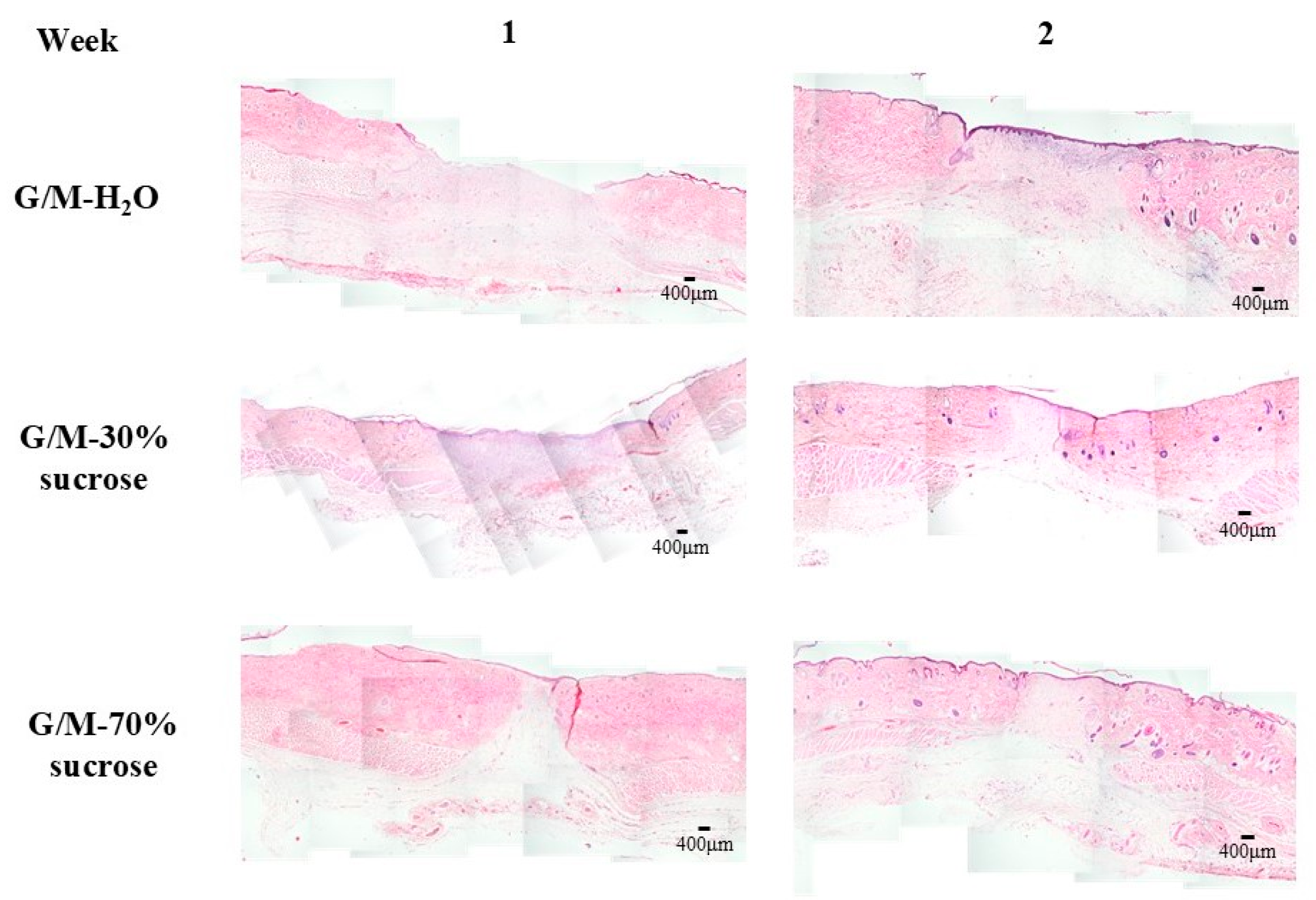 Bioengineering 12 00327 g009