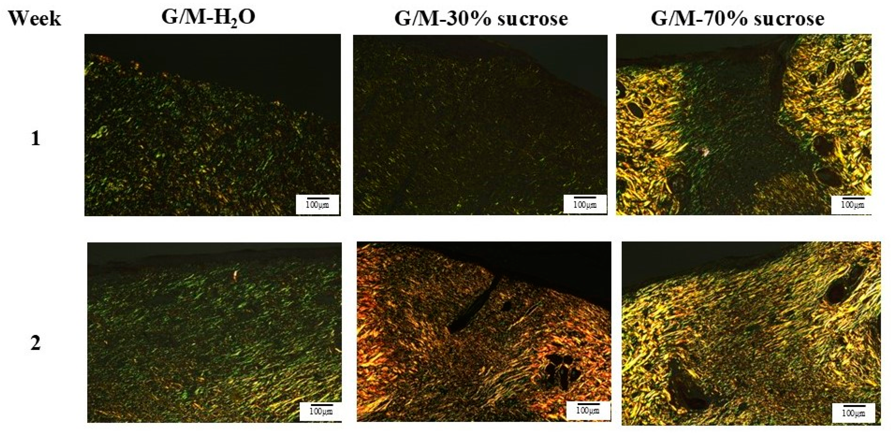 Bioengineering 12 00327 g011