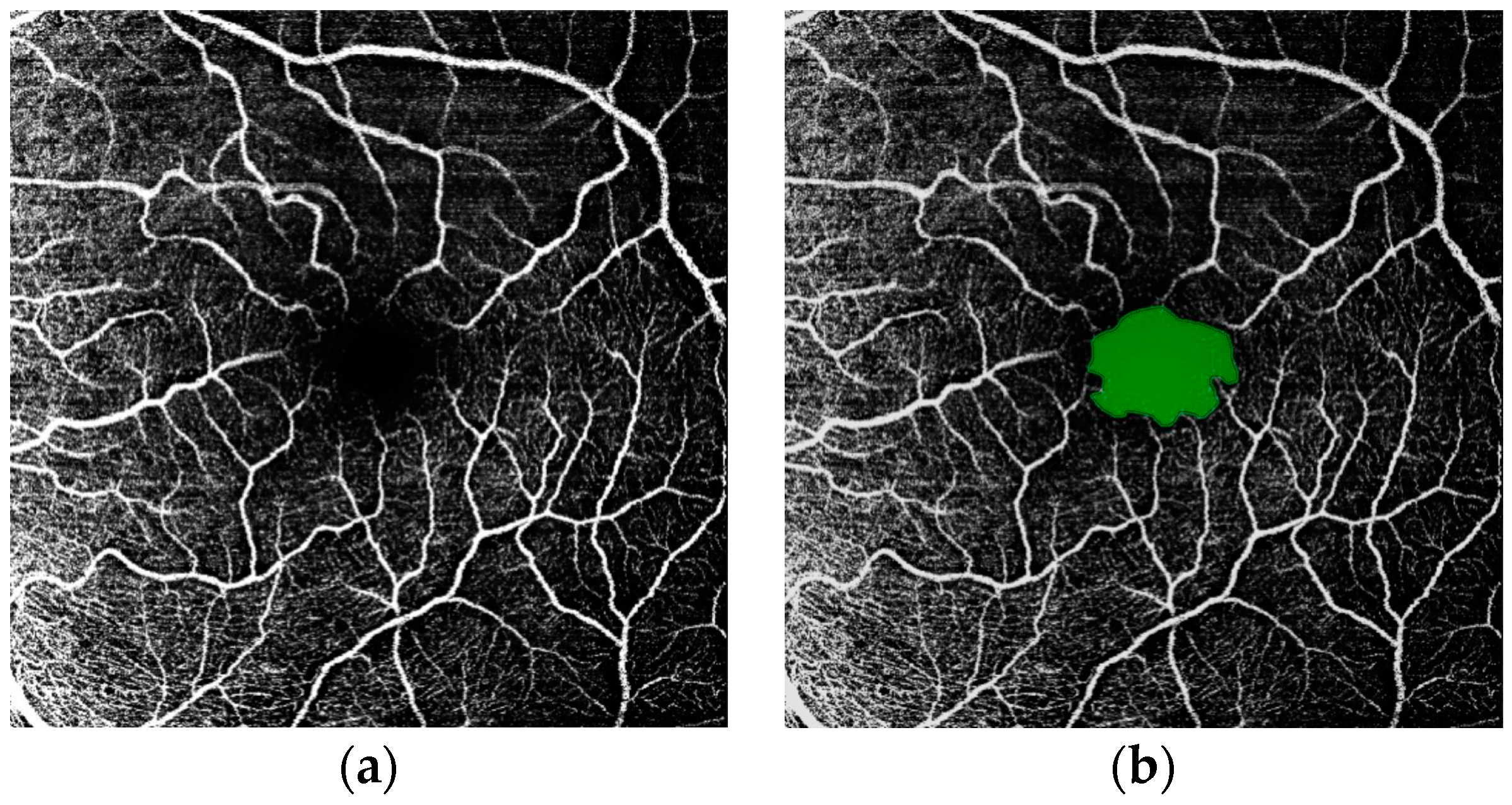 Bioengineering 12 00334 g002