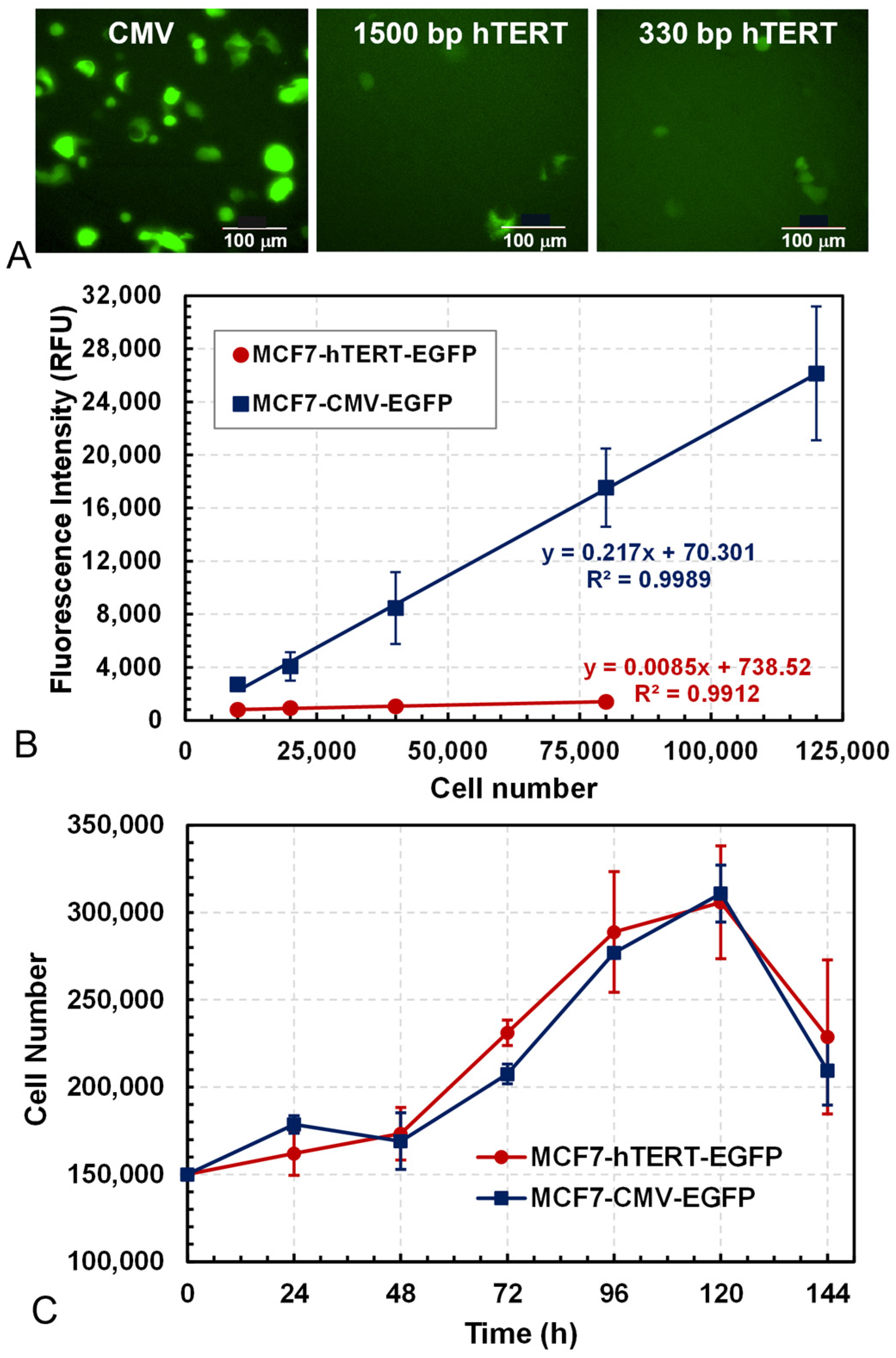 Bioengineering 12 00335 g001