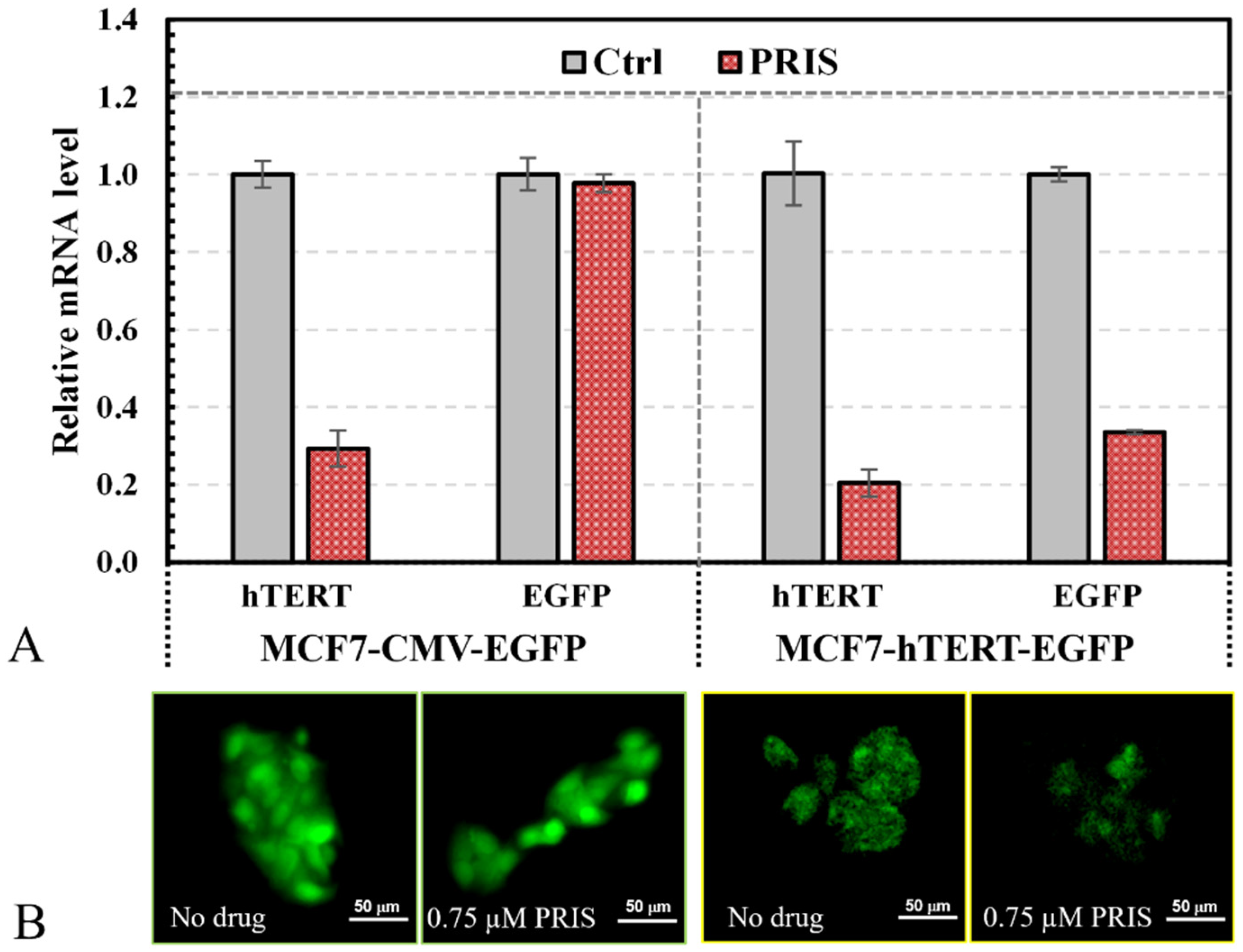 Bioengineering 12 00335 g003