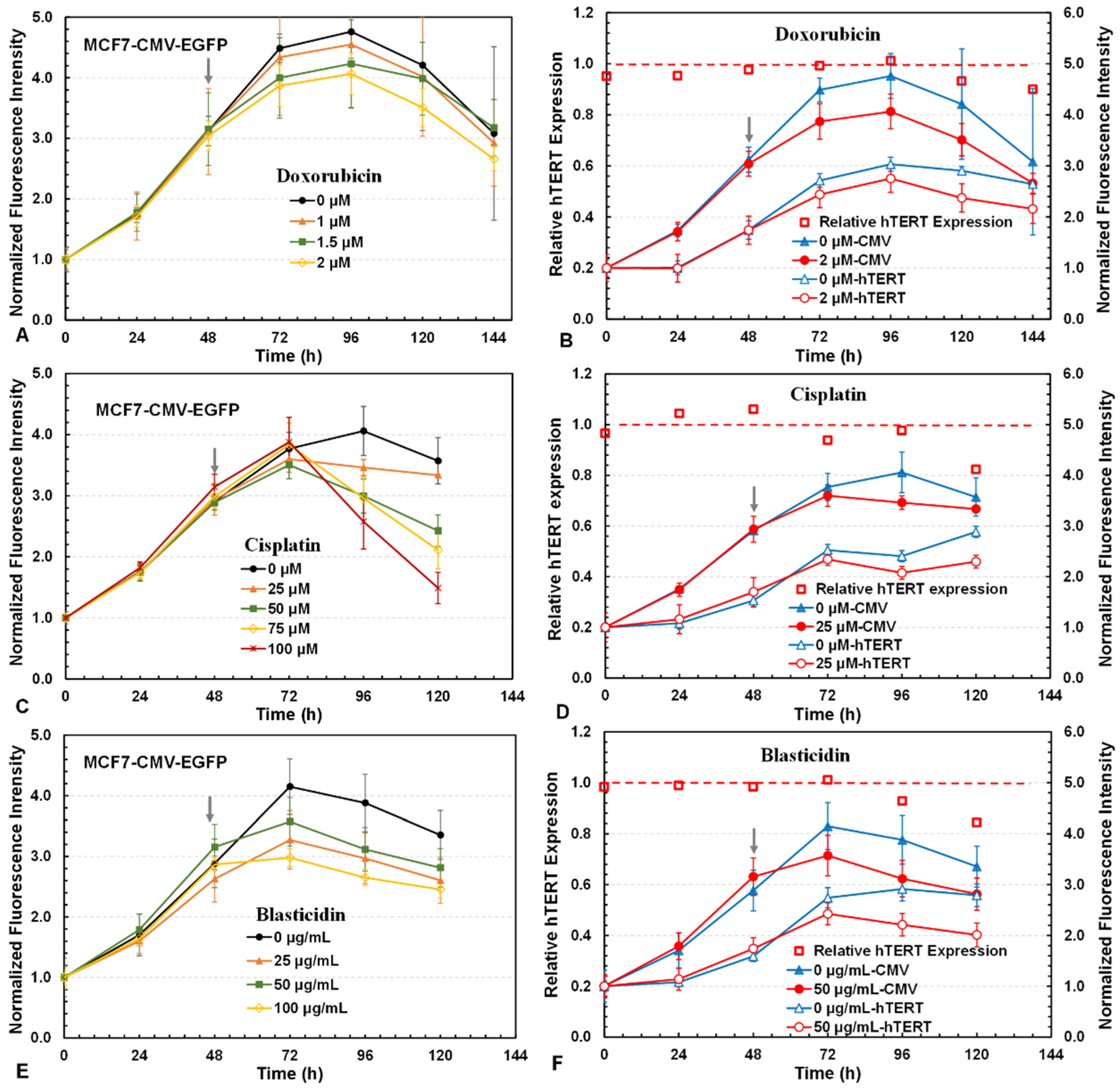 Bioengineering 12 00335 g005