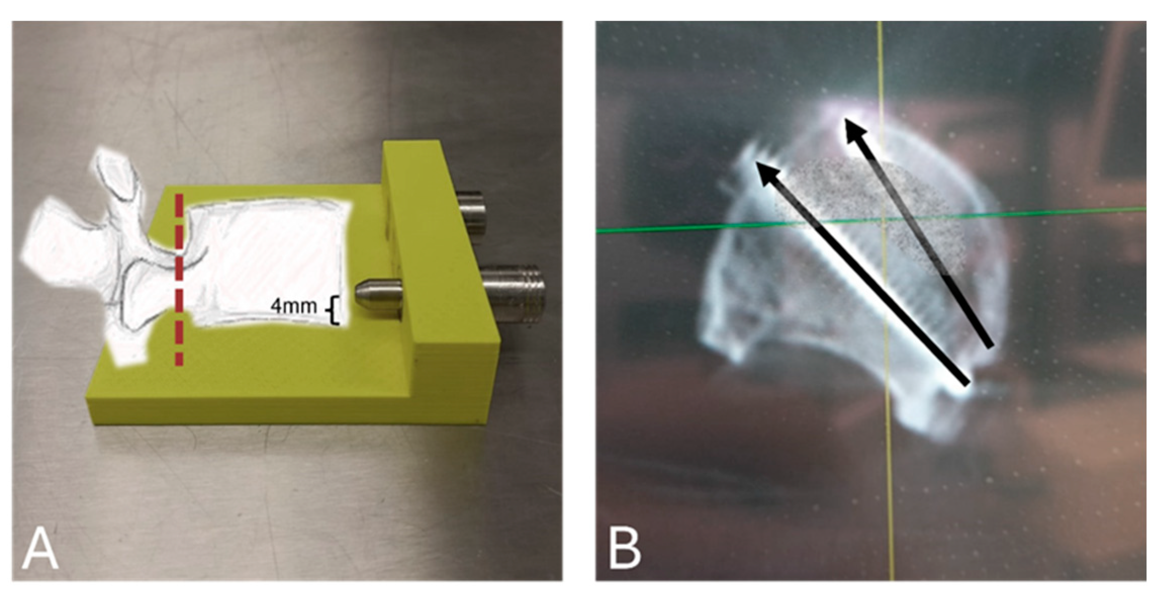 Bioengineering 12 00337 g001 Bioengineering 12 00337 g001