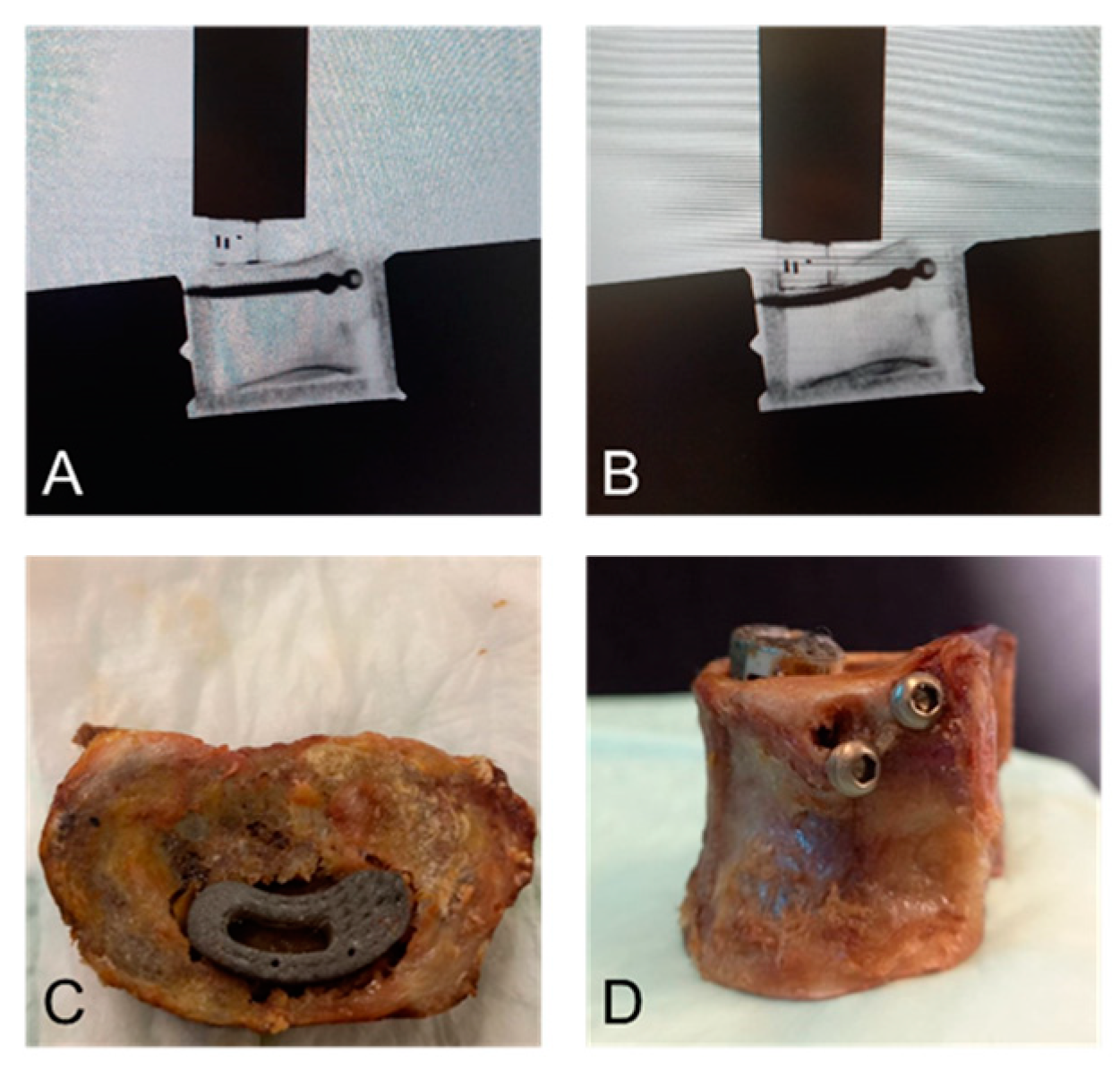 Bioengineering 12 00337 g004 Bioengineering 12 00337 g004