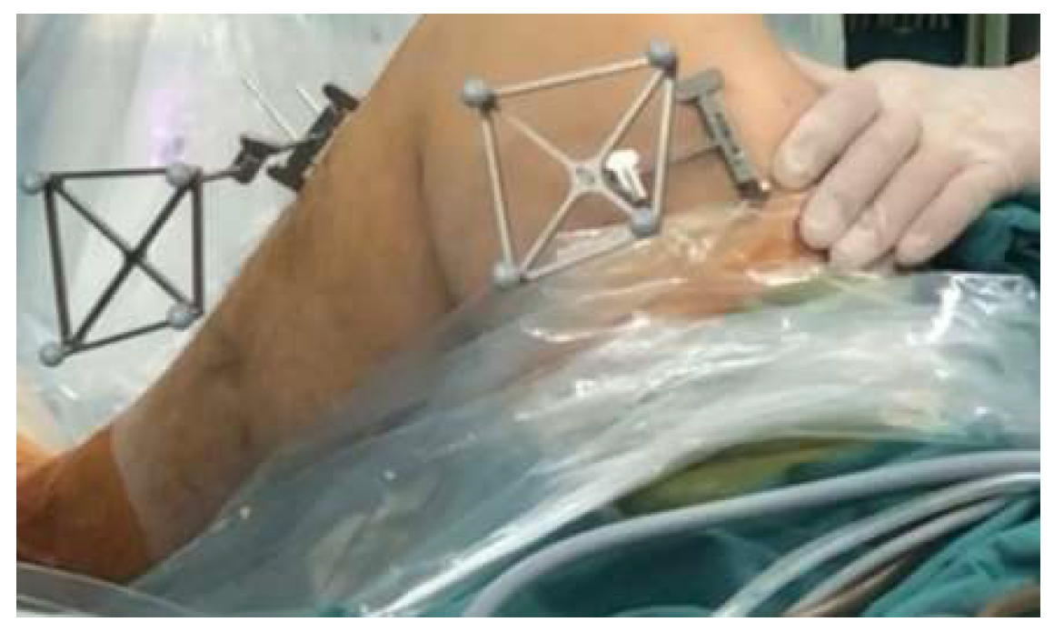 Bioengineering 12 00338 g003