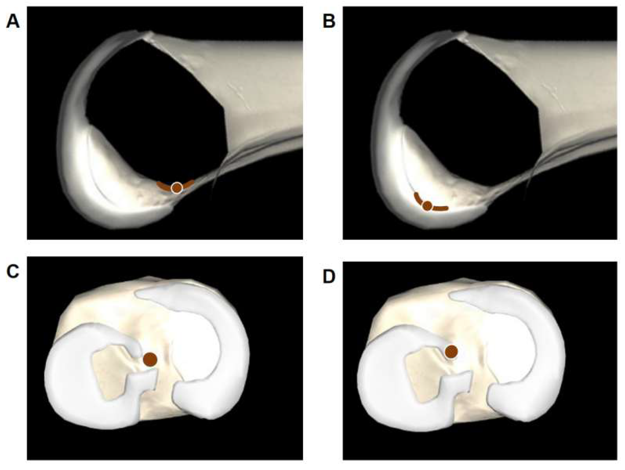 Bioengineering 12 00338 g004
