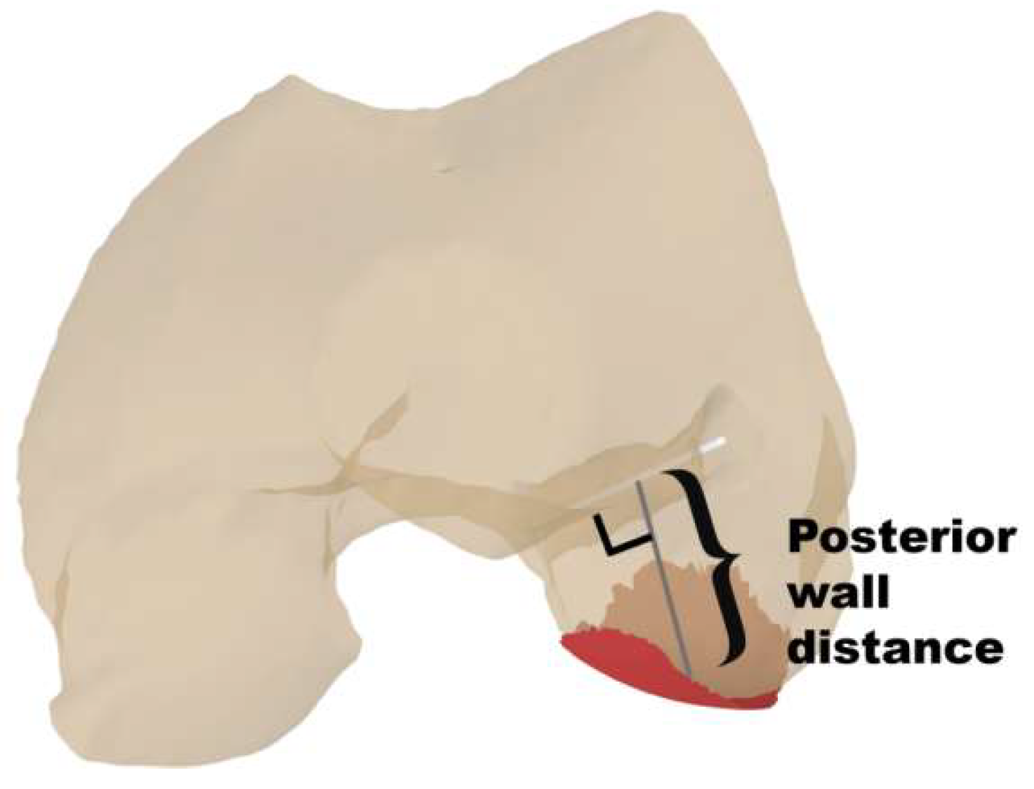 Bioengineering 12 00338 g006