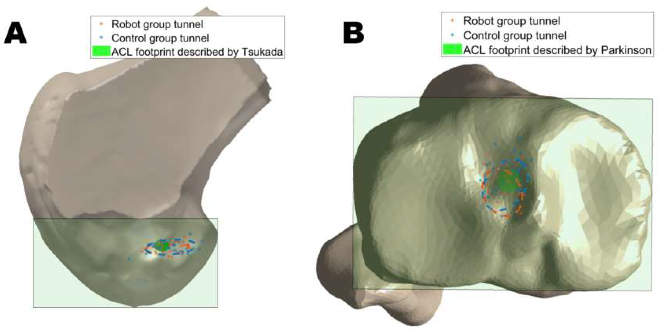 Bioengineering 12 00338 g007