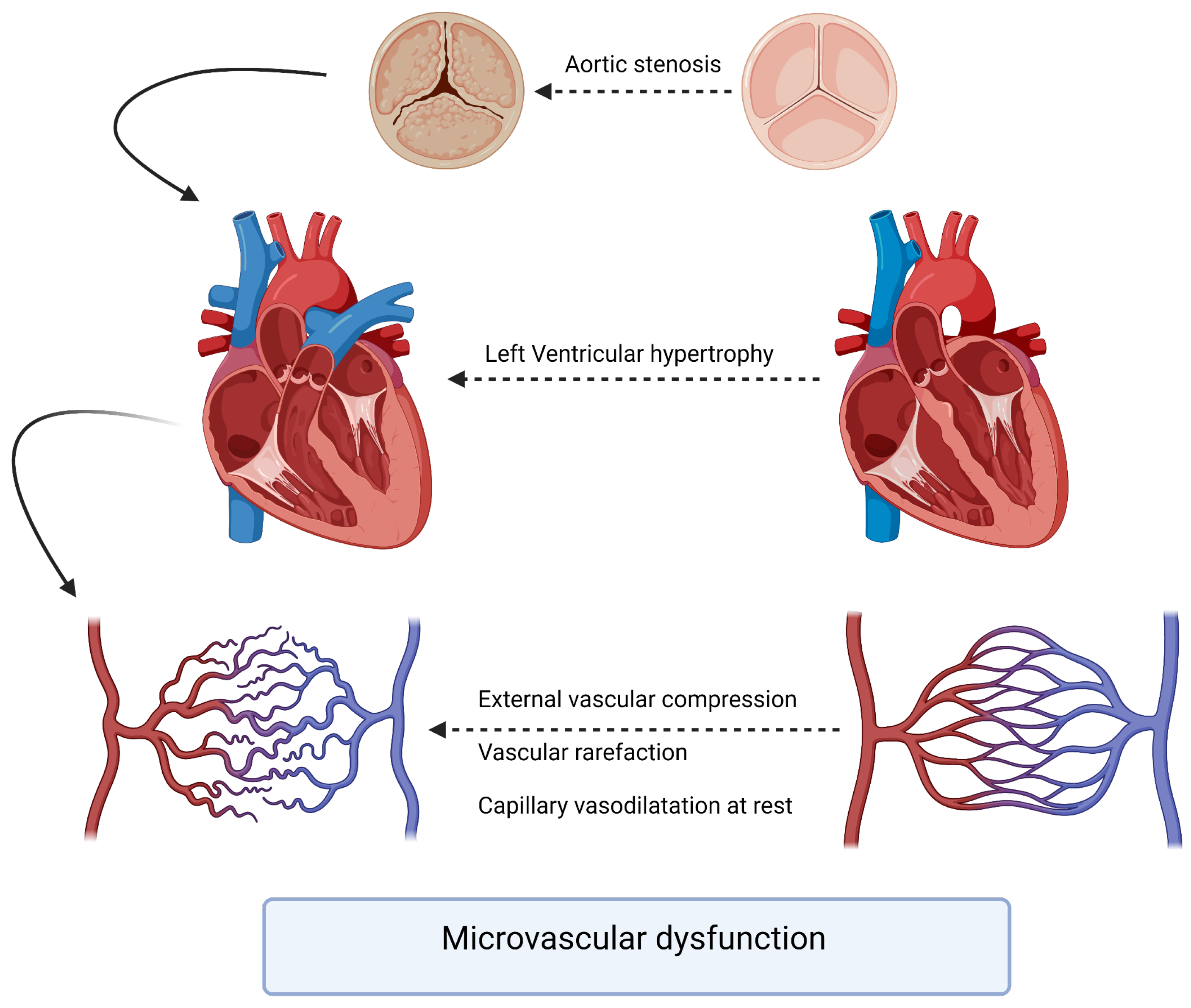 Bioengineering 12 00339 g001