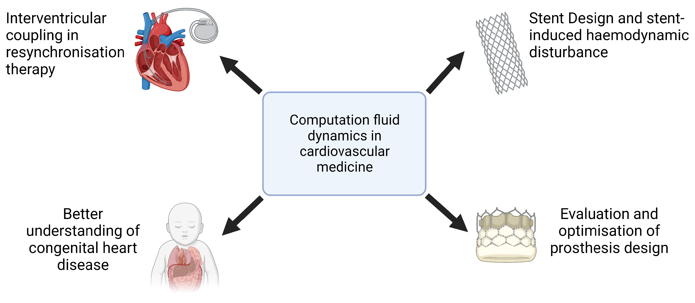 Bioengineering 12 00339 g002