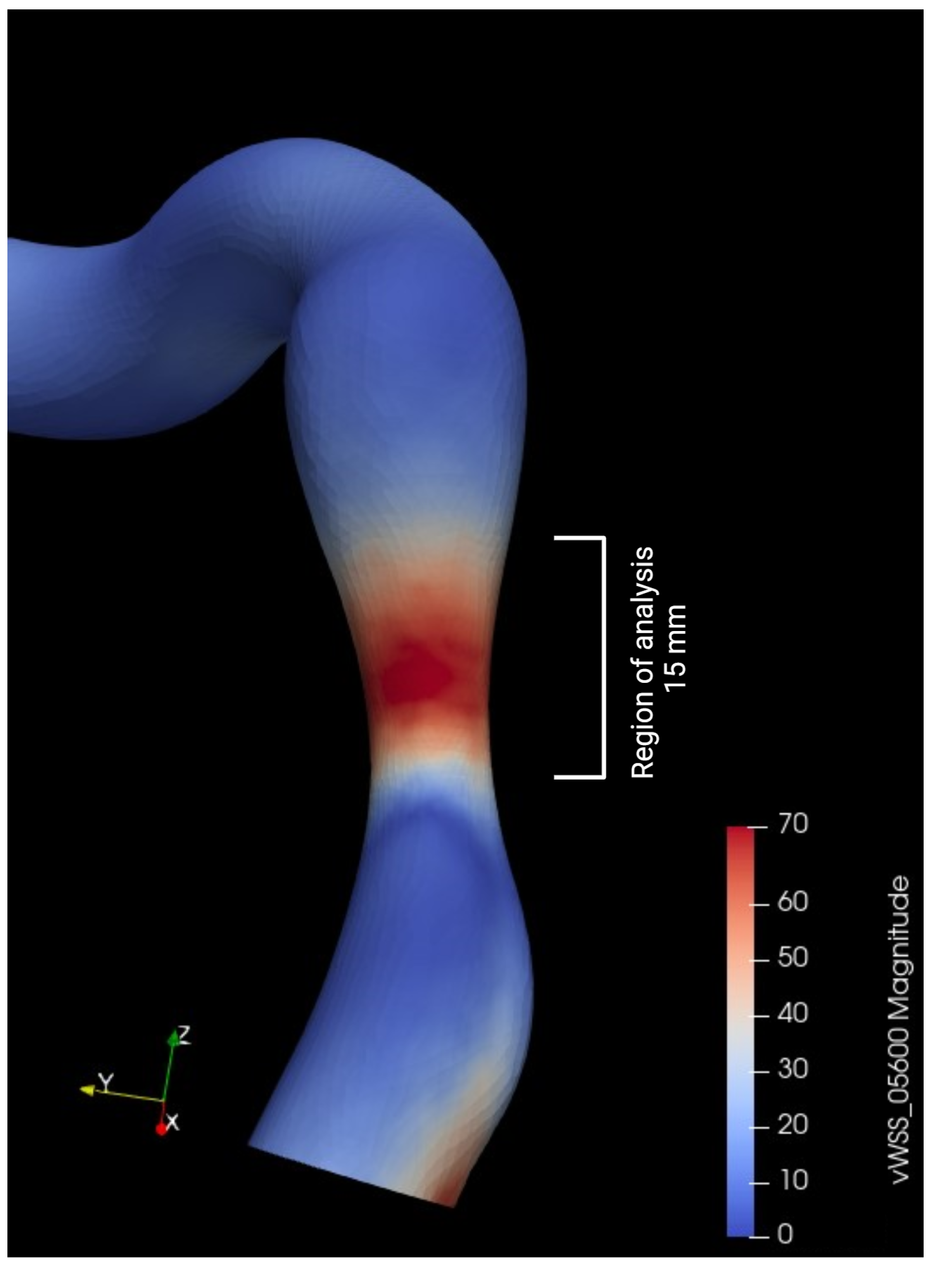 Bioengineering 12 00339 g006