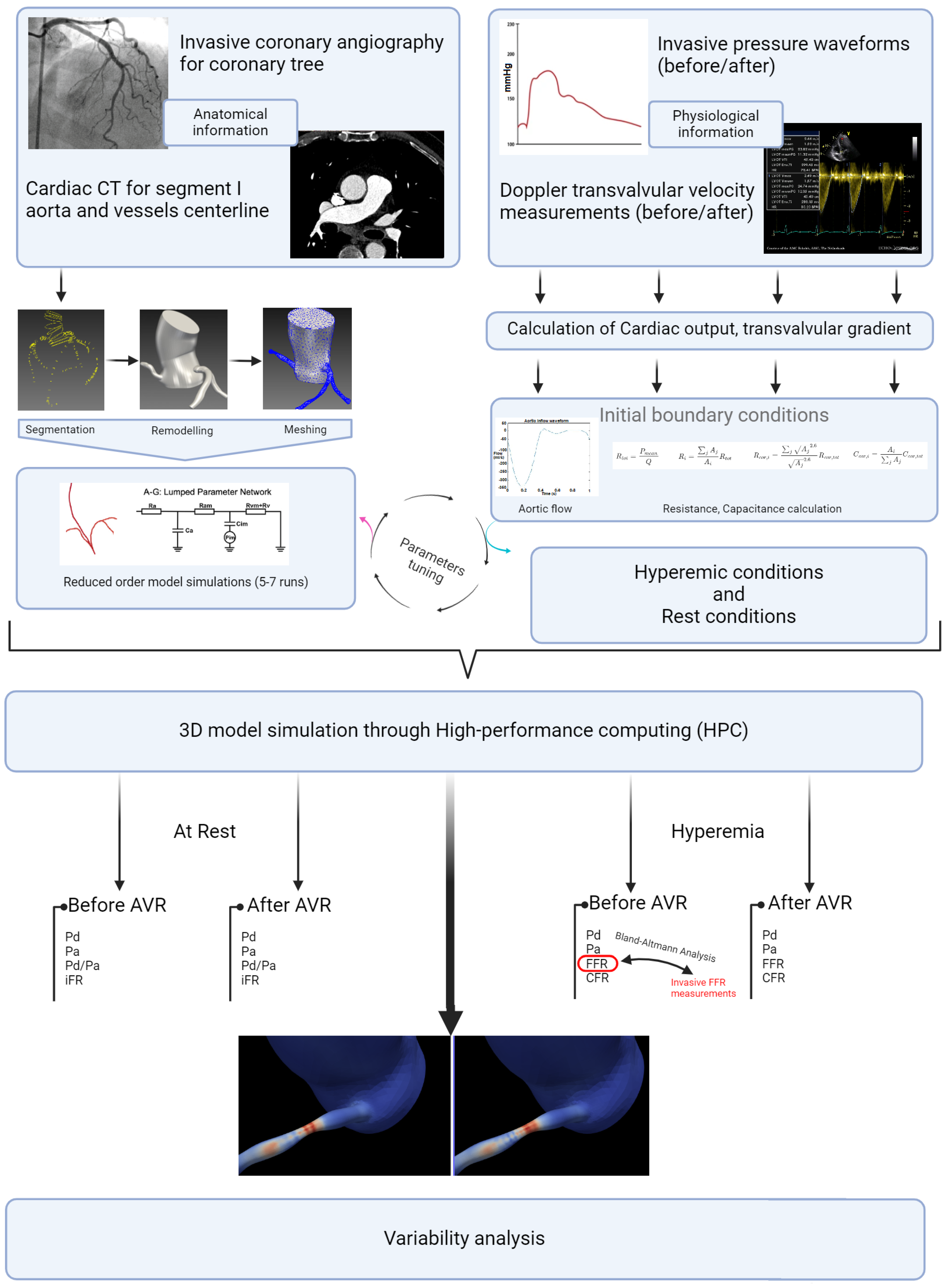 Bioengineering 12 00339 g007