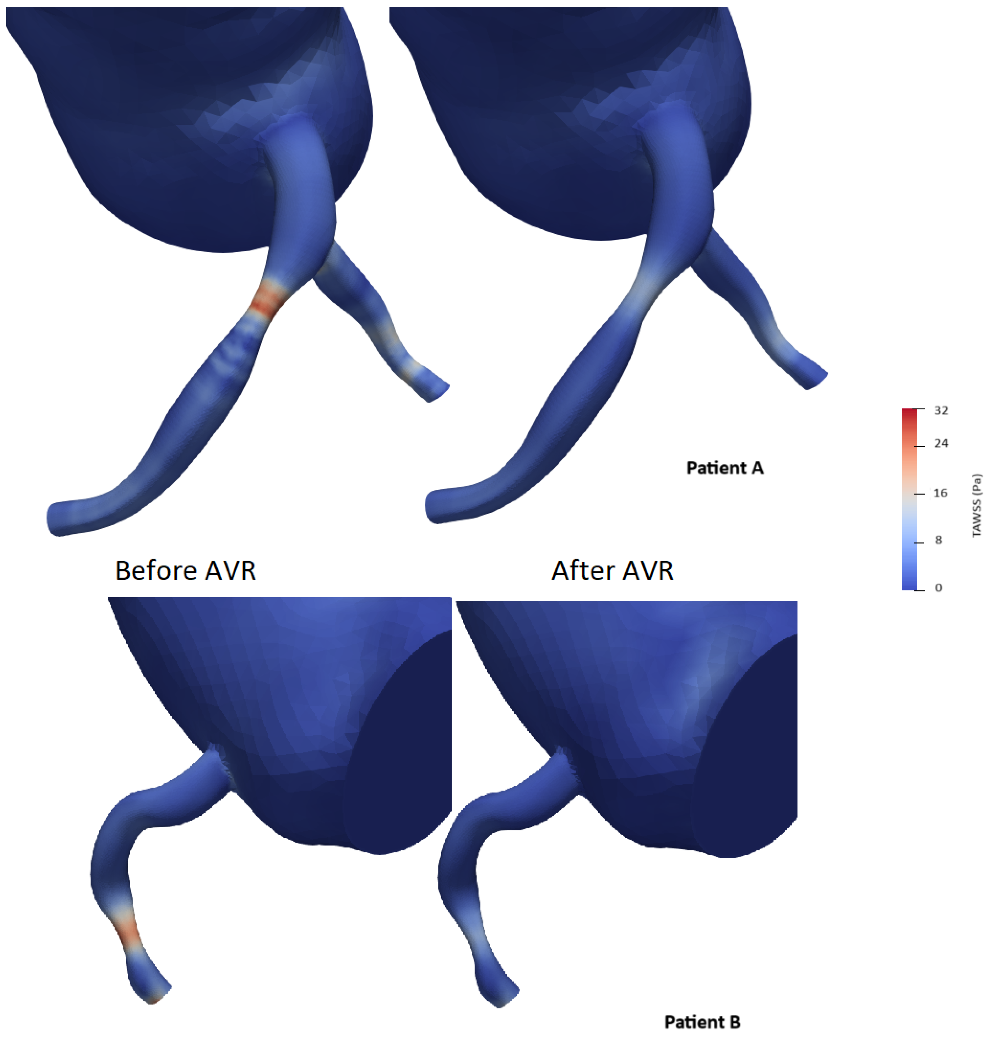Bioengineering 12 00339 g012