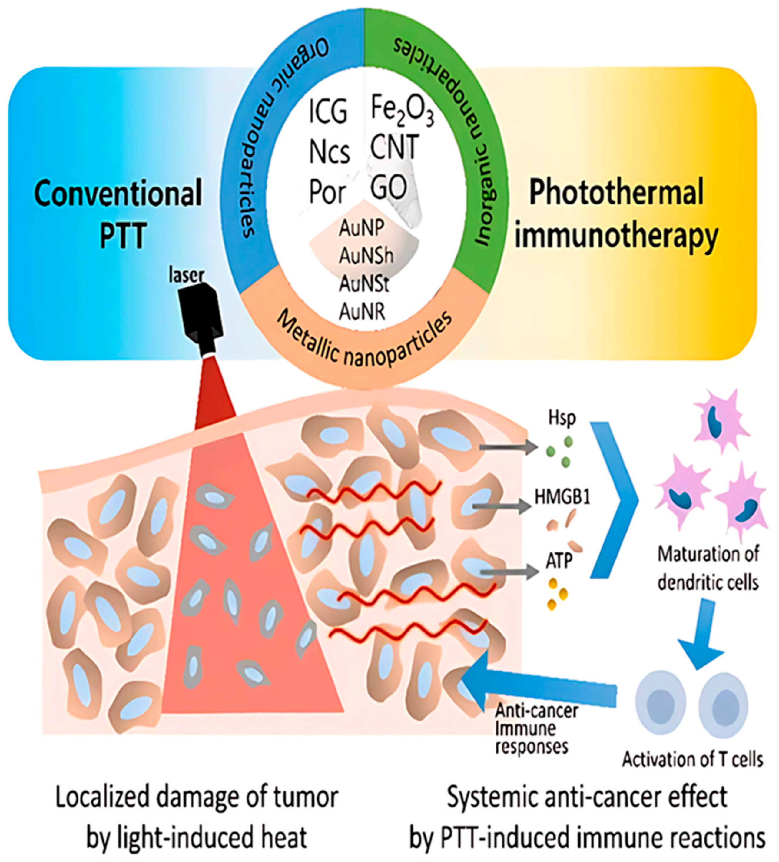 Bioengineering 12 00341 g003 Bioengineering 12 00341 g003